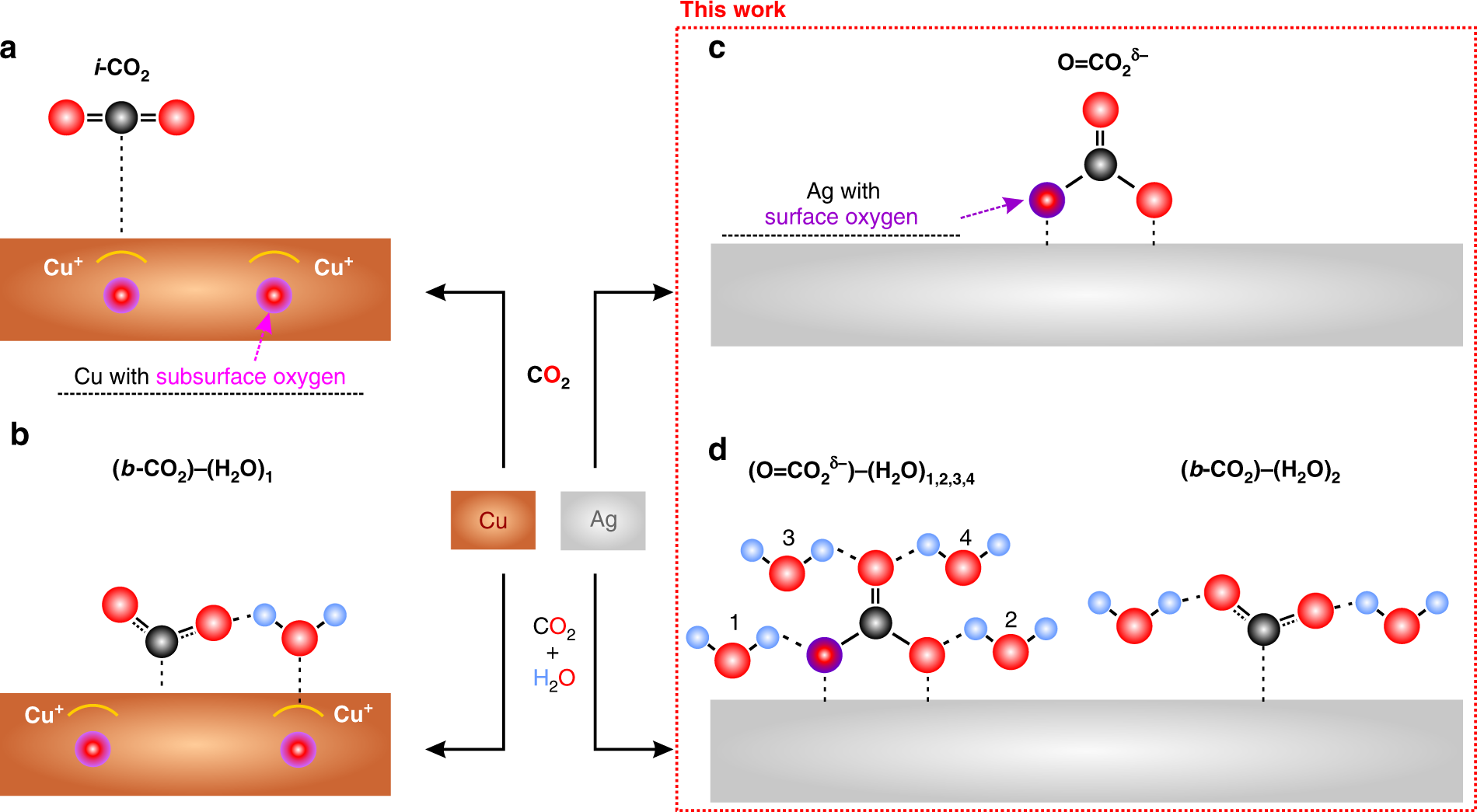Dramatic Differences In Carbon Dioxide Adsorption And