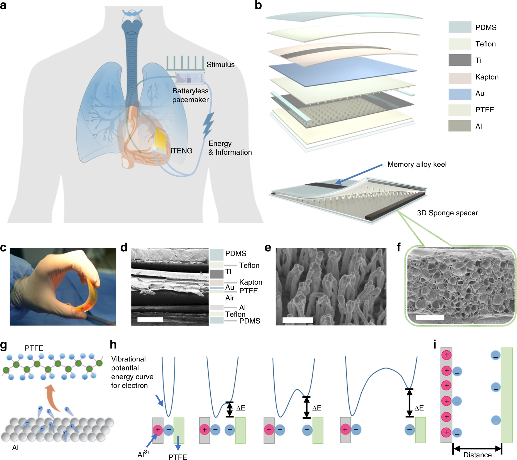 Symbiotic cardiac pacemaker | Nature Communications