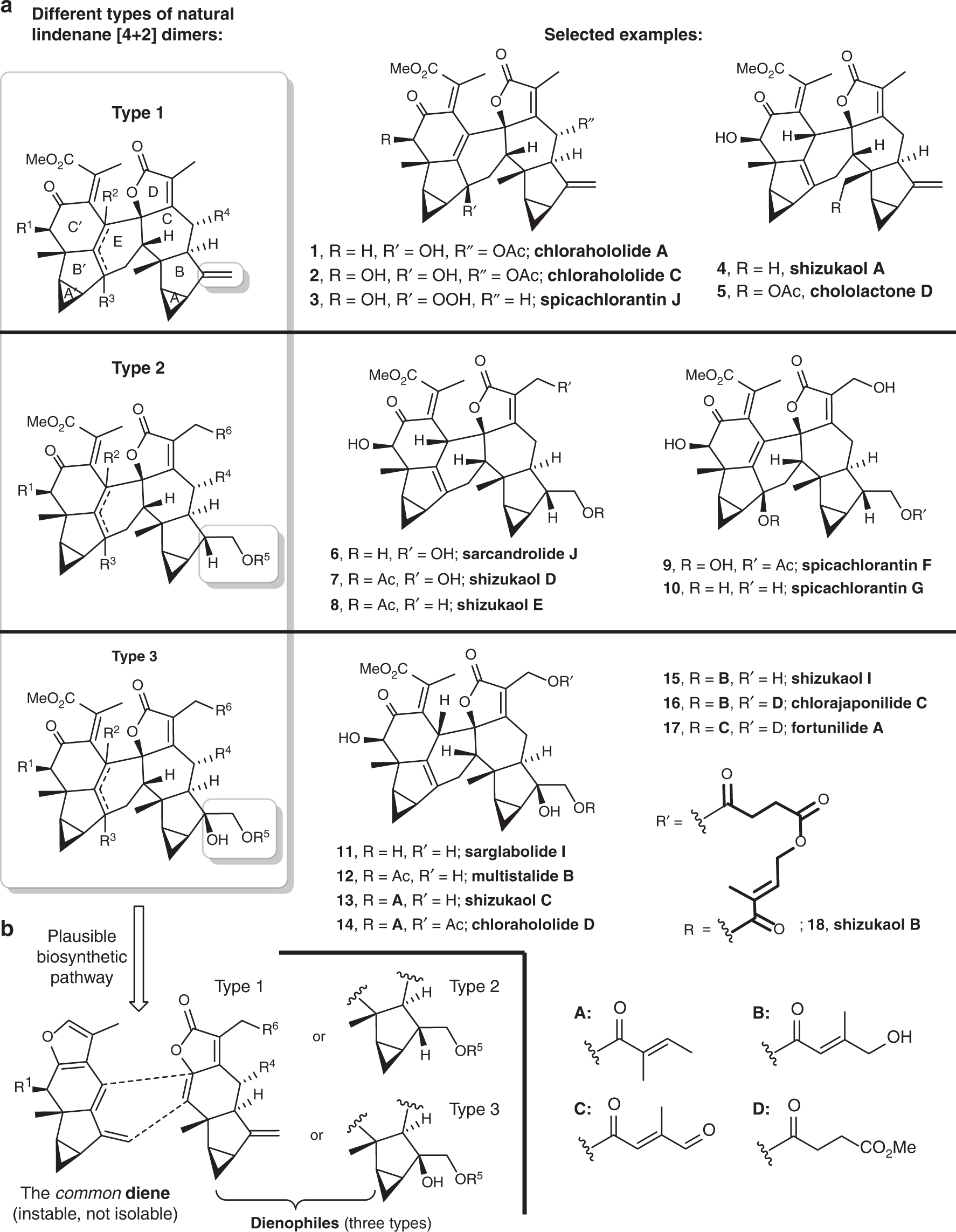 A Unified Strategy Toward Total Syntheses Of Lindenane Sesquiterpenoid 4 2 Dimers Nature Communications A Unified Strategy Toward Total Syntheses Of Lindenane Sesquiterpenoid 4 2 Dimers Nature Communications