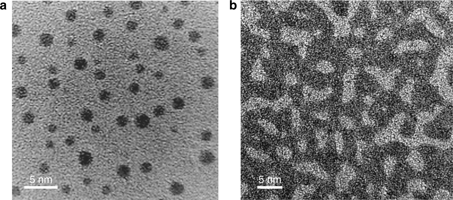 Liquid Like Behaviours Of Metallic Glassy Nanoparticles At
