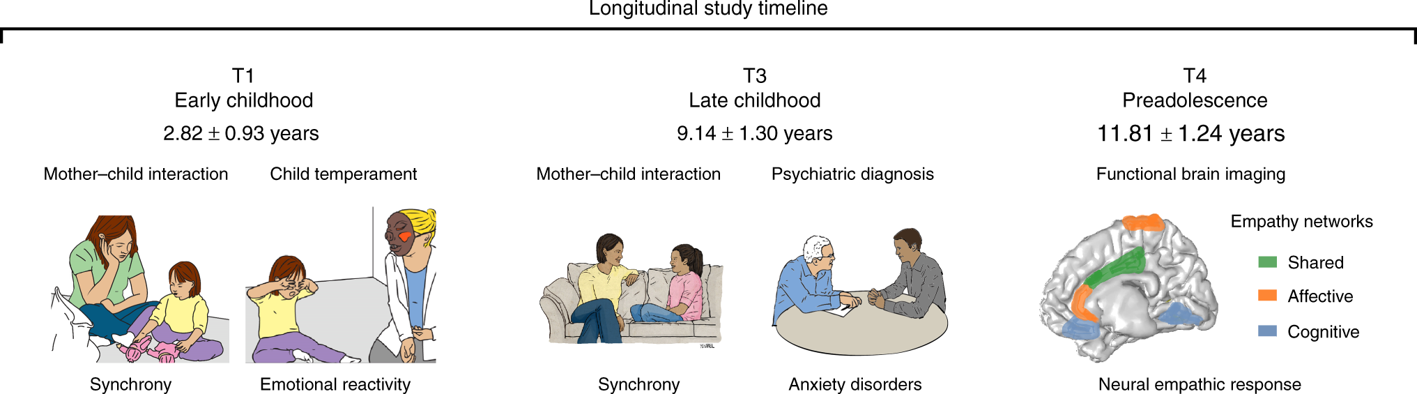 The neural development of empathy is sensitive to caregiving and early  trauma | Nature Communications