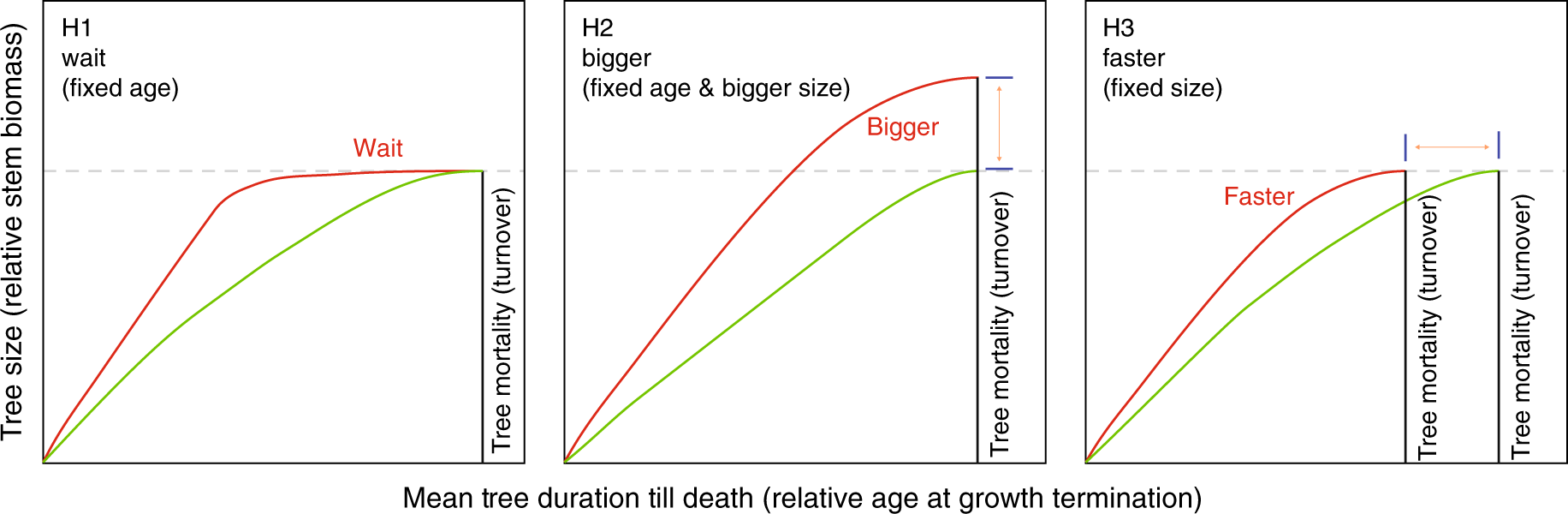 Limited Capacity Of Tree Growth To Mitigate The Global Greenhouse Effect Under Predicted Warming Nature Communications
