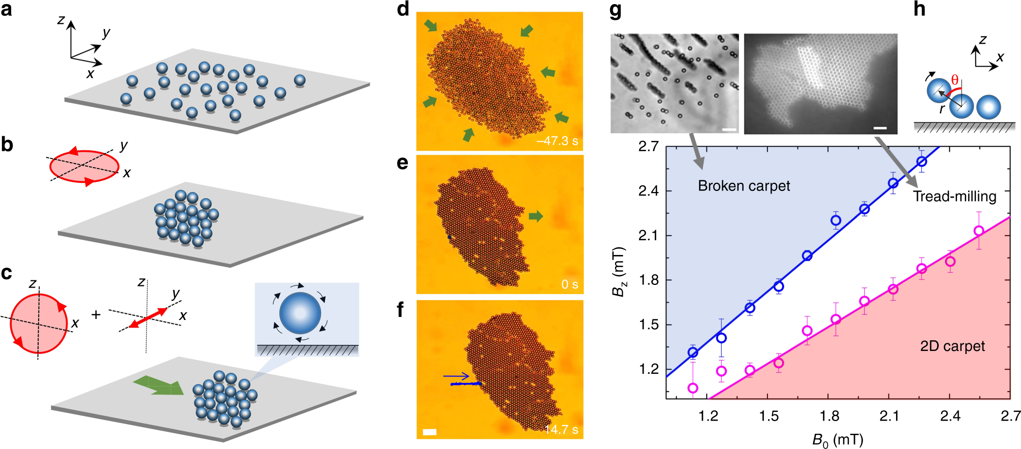 Tunable self-healing of magnetically propelling colloidal carpets