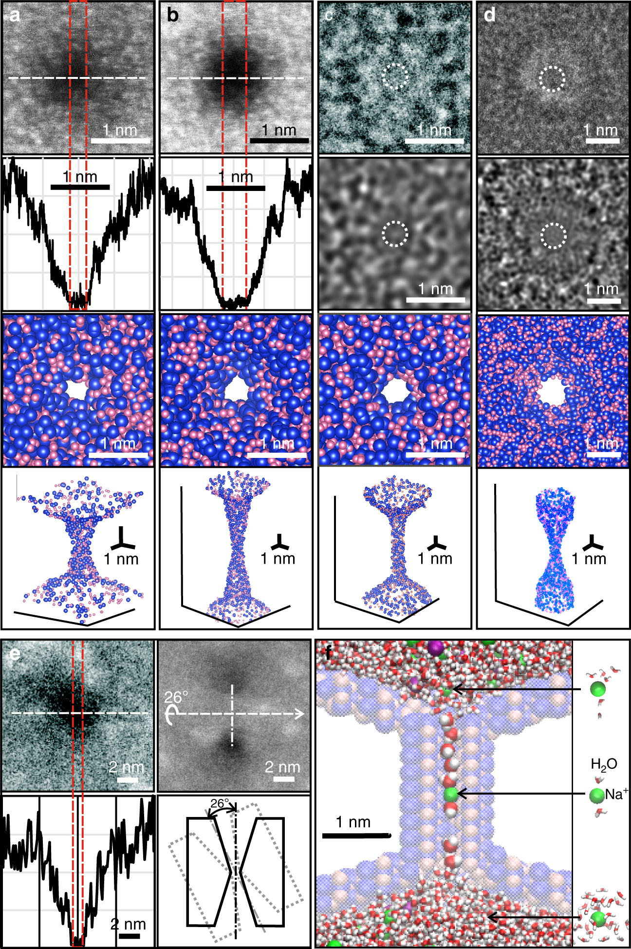 trofast Fantastiske Elevator Measurements of the size and correlations between ions using an  electrolytic point contact | Nature Communications