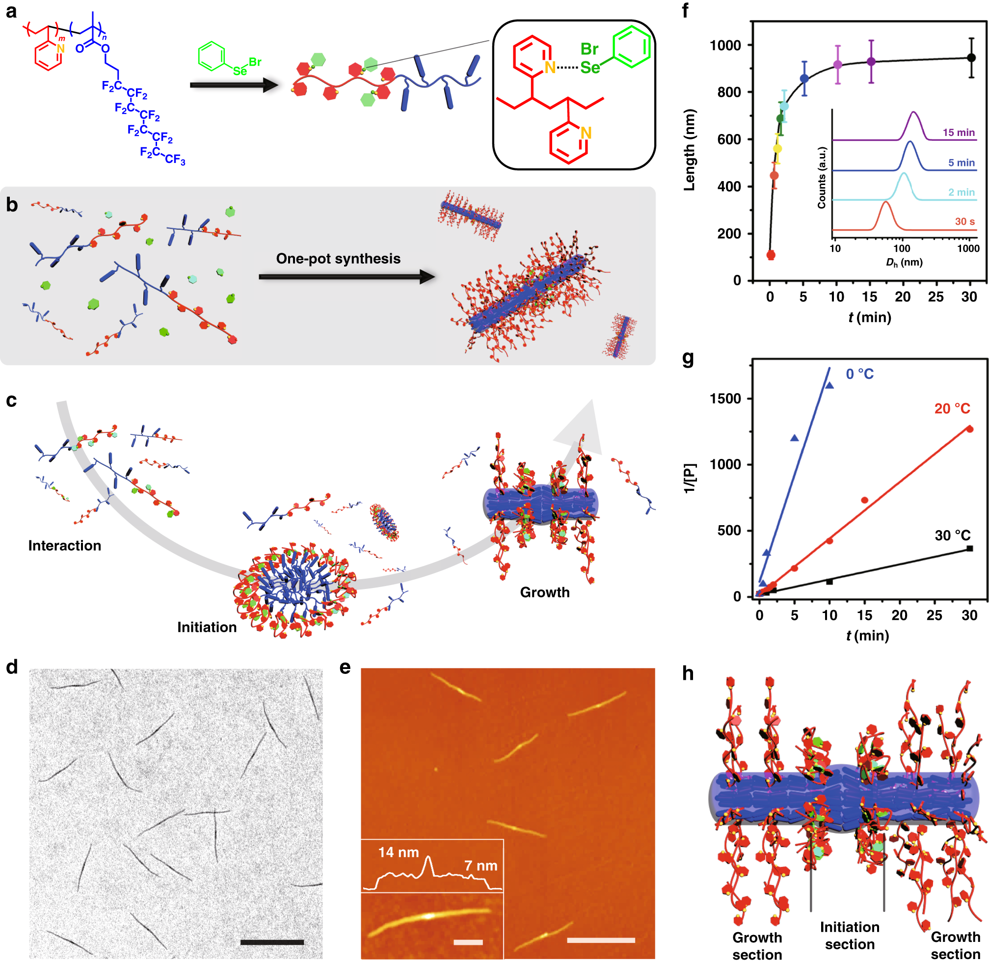 One Pot Universal Initiation Growth Methods From A Liquid Crystalline Block Copolymer Nature Communications