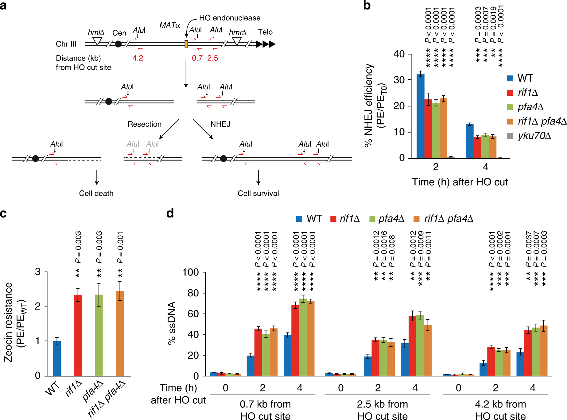 Rif1 S-acylation mediates DNA double-strand break repair at the inner  nuclear membrane | Nature Communications