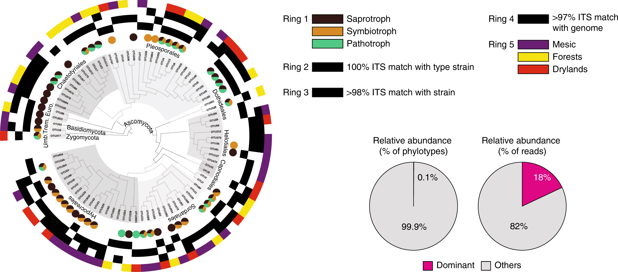 A Few Ascomycota Taxa Dominate Soil Fungal Communities Worldwide