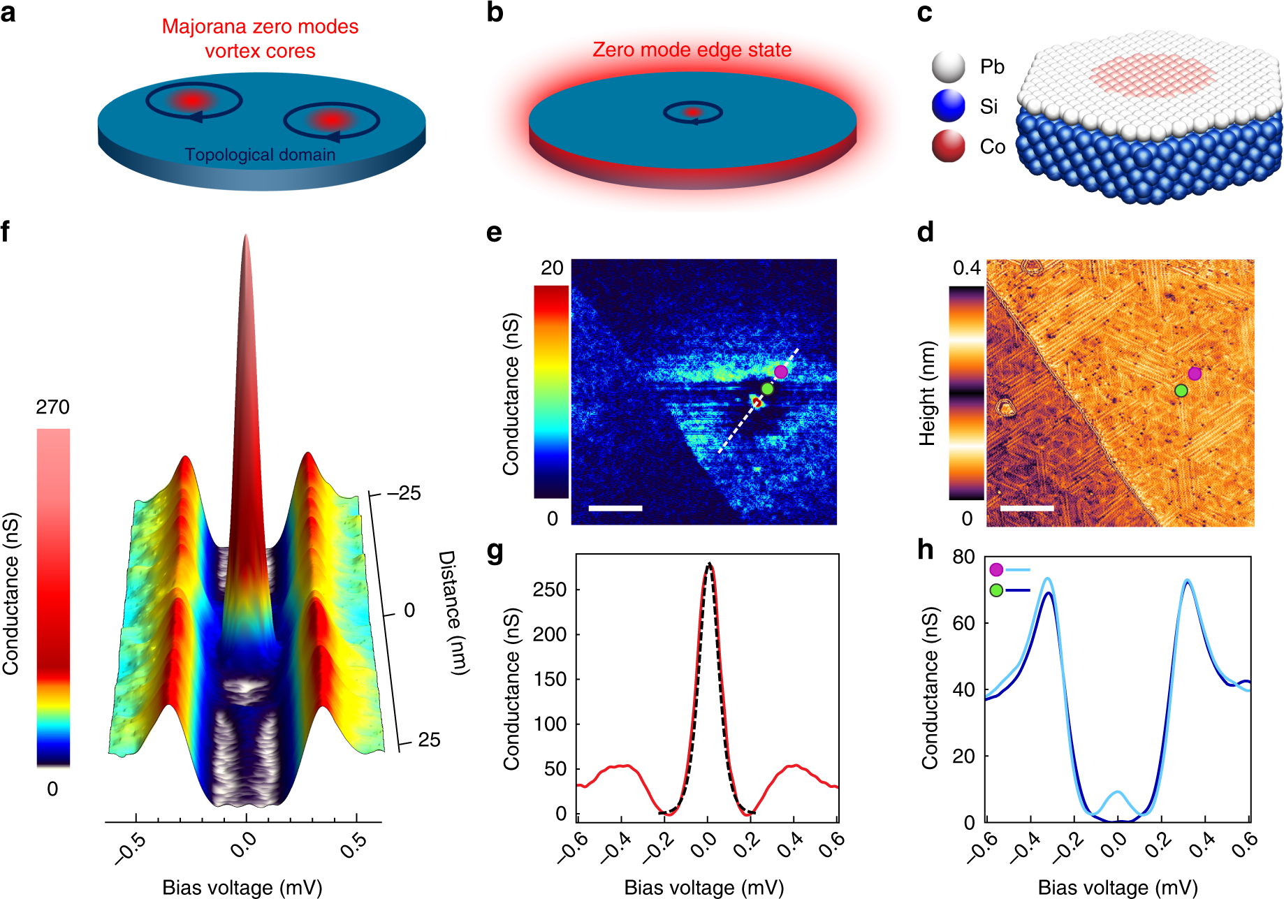 Isolated pairs of Majorana zero modes in a disordered superconducting lead  monolayer | Nature Communications