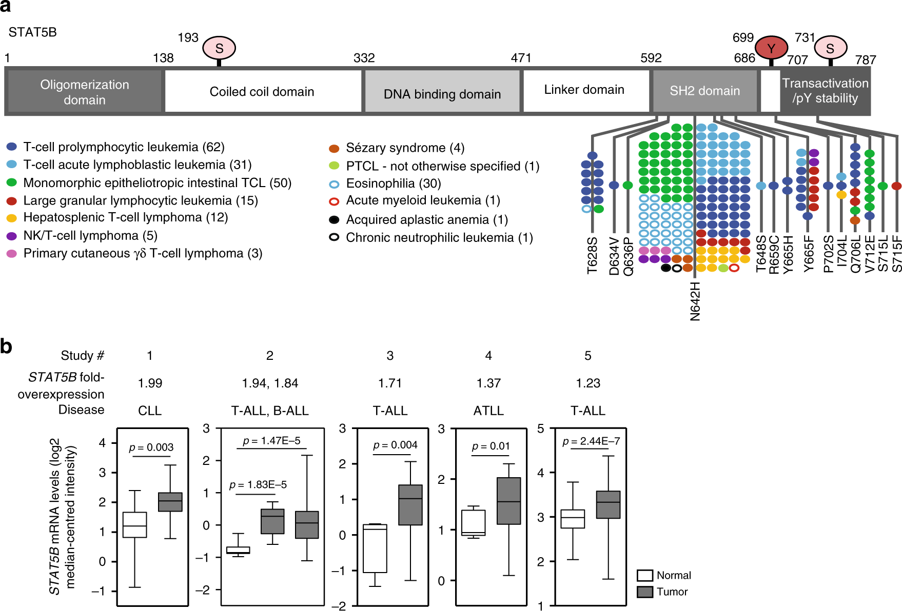 Structural And Functional Consequences Of The Stat5b N642h