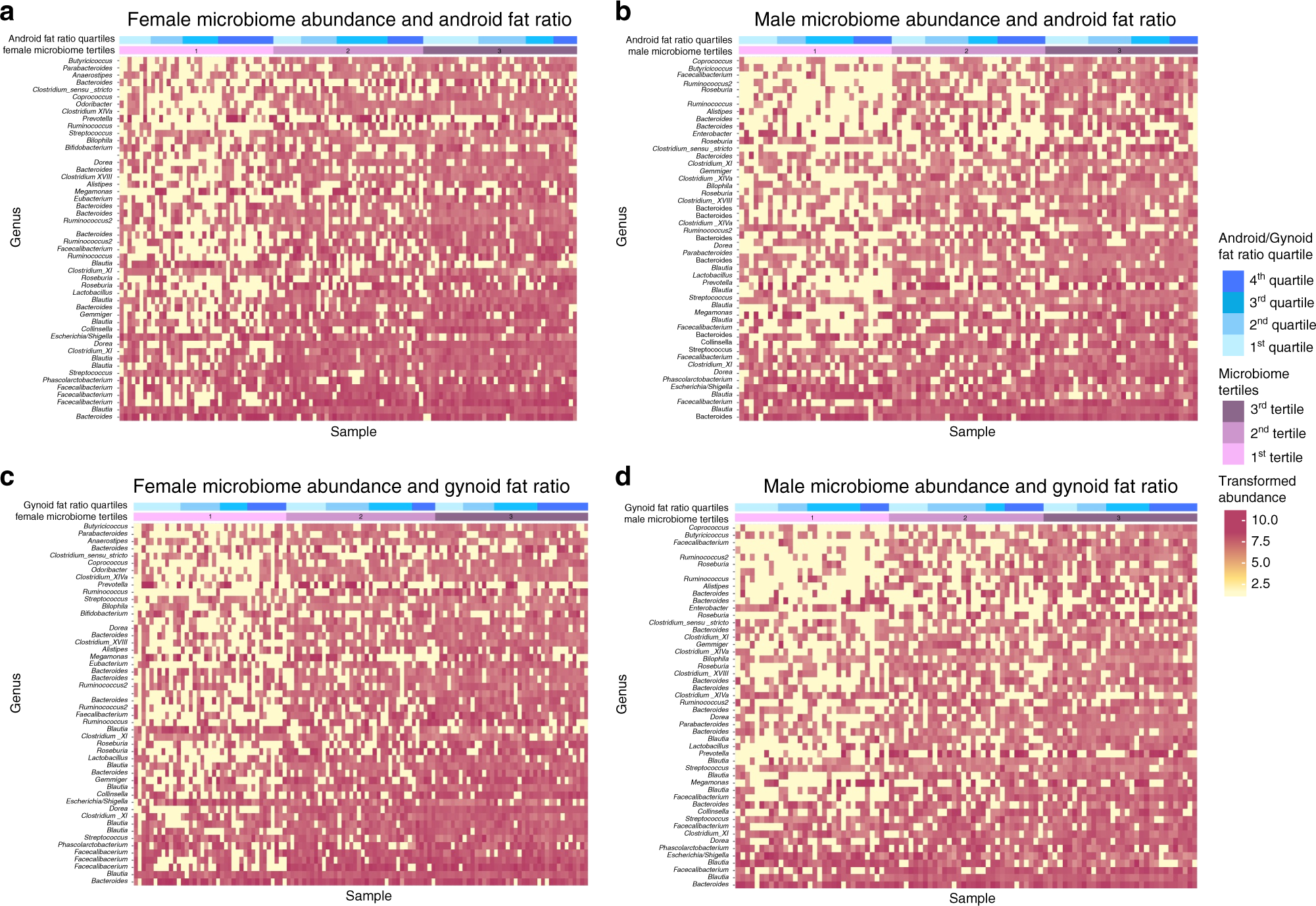 Sex-specific association between gut microbiome and fat distribution Nature Communications pic