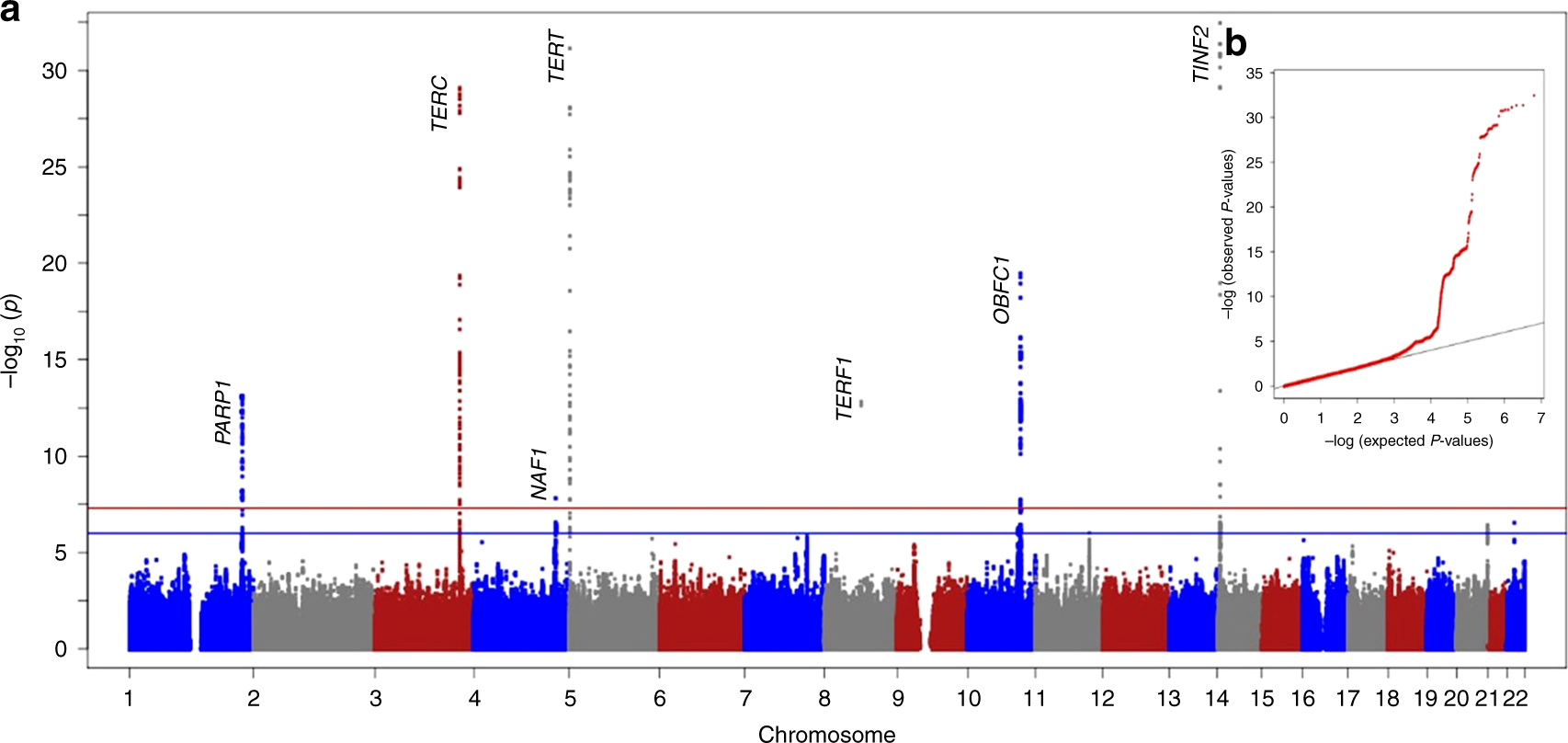 Loci For Human Leukocyte Telomere Length In The Singaporean - 