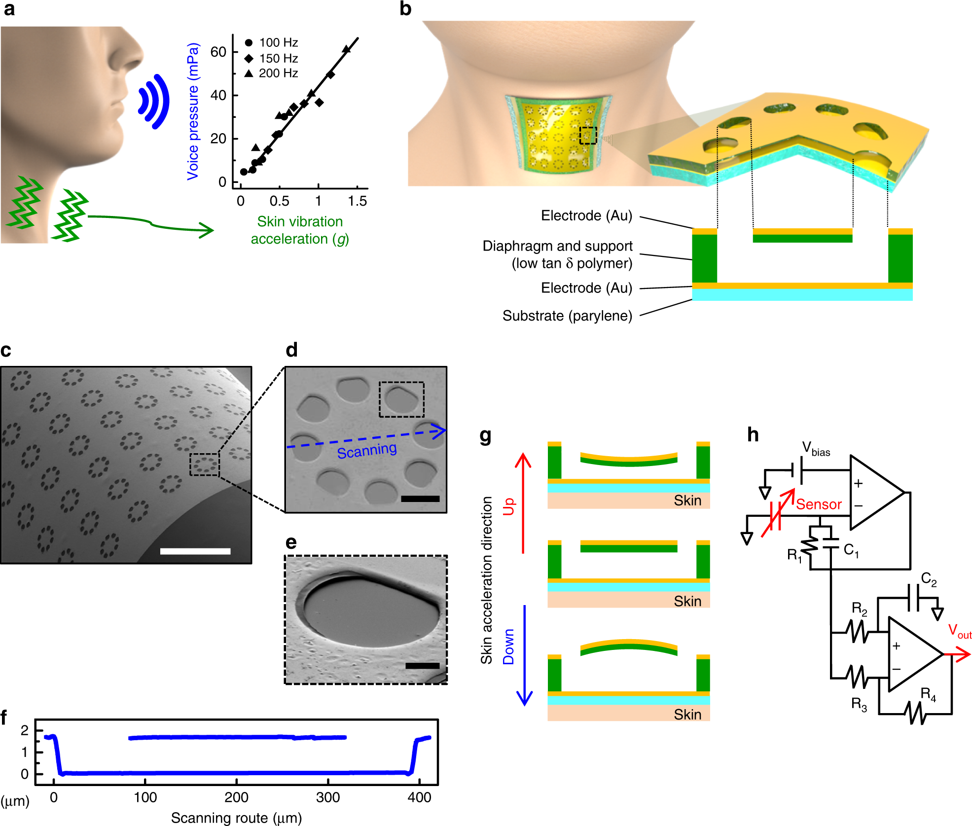 An ultrathin conformable vibration-responsive electronic skin for  quantitative vocal recognition