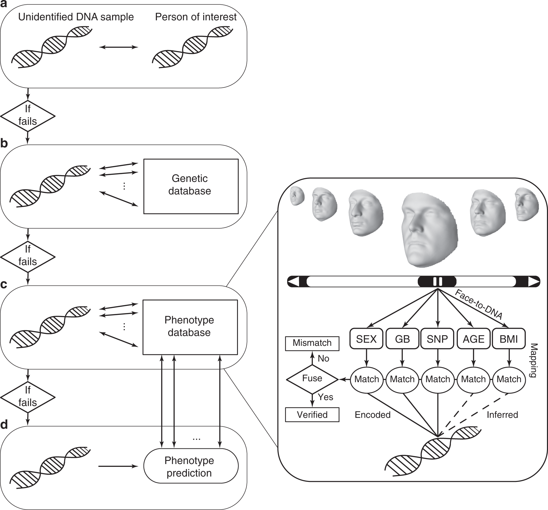 Dna Profiling Flow Chart