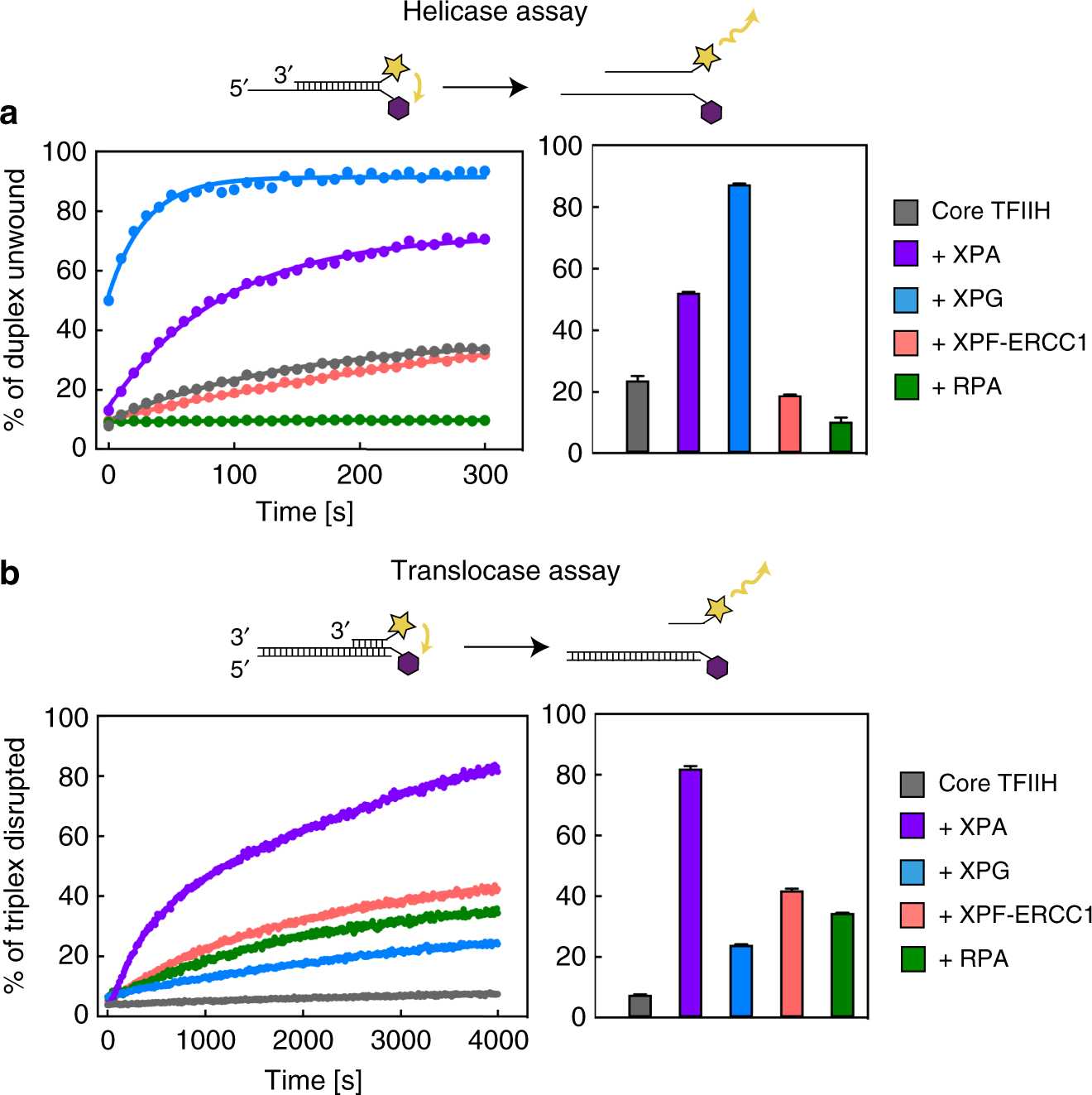 Structural Basis Of Tfiih Activation For Nucleotide Excision Repair Nature Communications Structural Basis Of Tfiih Activation For Nucleotide Excision Repair Nature Communications