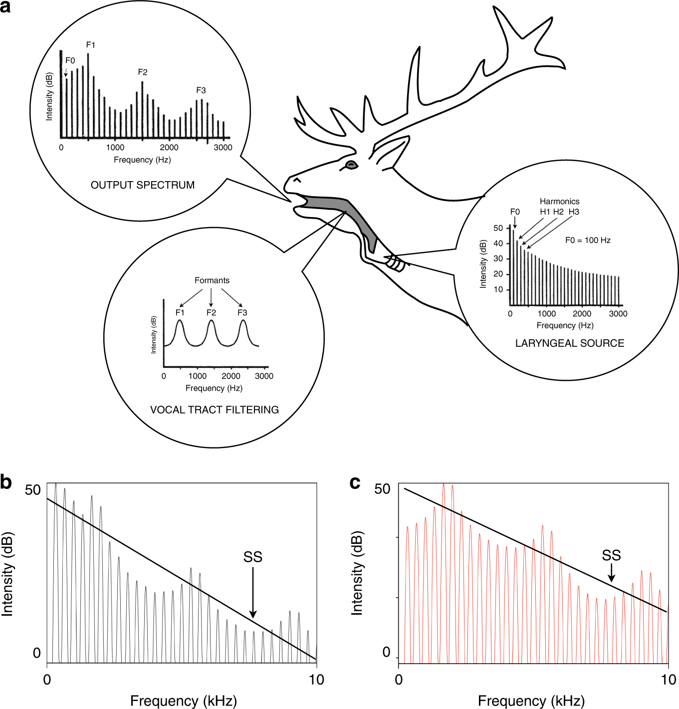 Coevolution of vocal signal characteristics and hearing sensitivity in forest mammals | Nature Communications Coevolution of vocal signal characteristics and hearing sensitivity in forest mammals | Nature Communications