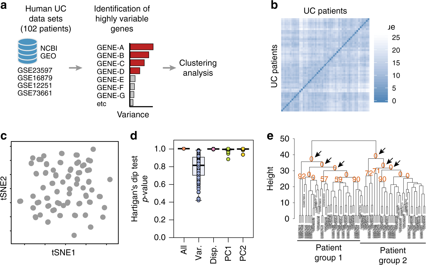 Christmas dream radioactivity Conserved transcriptomic profile between mouse and human colitis allows unsupervised patient stratification | Nature Communications Christmas dream radioactivity Conserved transcriptomic profile between mouse and human colitis allows unsupervised patient stratification | Nature Communications