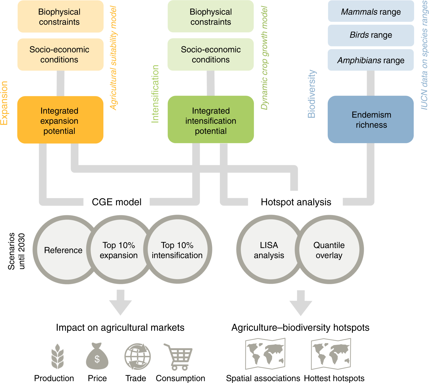 Global impacts of future cropland expansion and intensification on  agricultural markets and biodiversity | Nature Communications