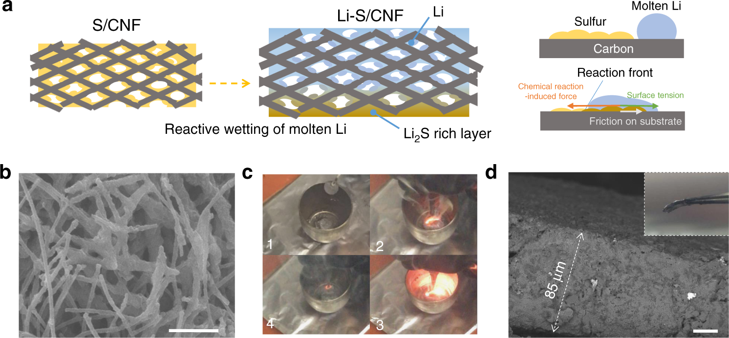 Rational design of spontaneous reactions for protecting porous lithium  electrodes in lithium–sulfur batteries | Nature Communications