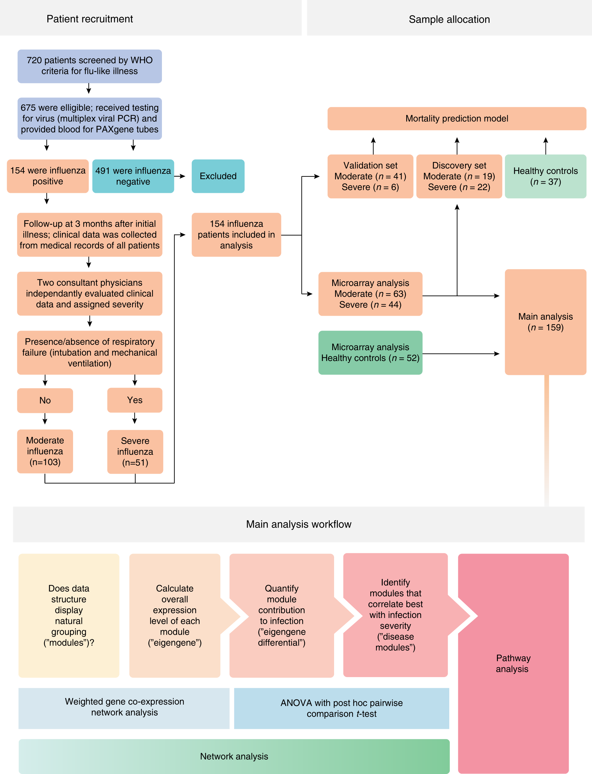 Neutrophils-related host factors associated with severe disease and  fatality in patients with influenza infection | Nature Communications