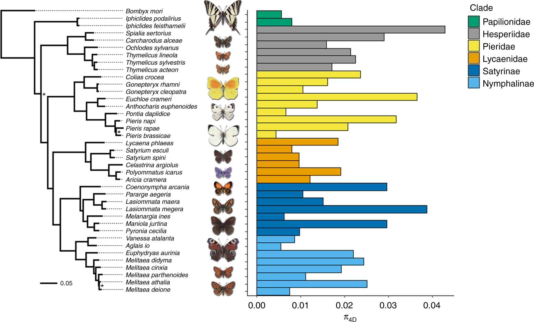 The determinants of genetic diversity in butterflies Nature Communications pic