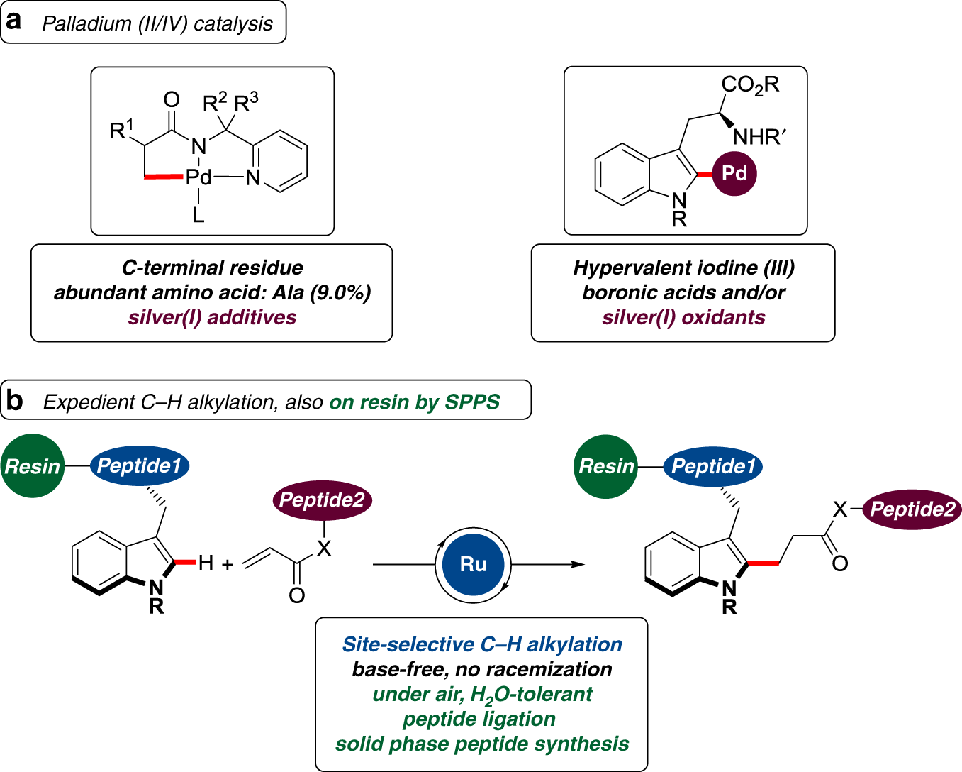 Solid phase peptide synthesis utilizing 9‐fluorenylmethoxycarbonyl amino  acids - FIELDS - 1990 - International Journal of Peptide and Protein  Research - Wiley Online Library