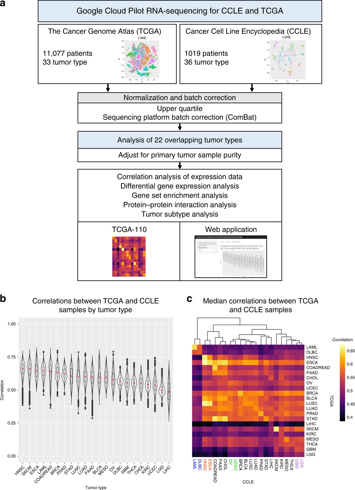 Identifying common transcriptome signatures of cancer by interpreting deep learning models, Genome Biology