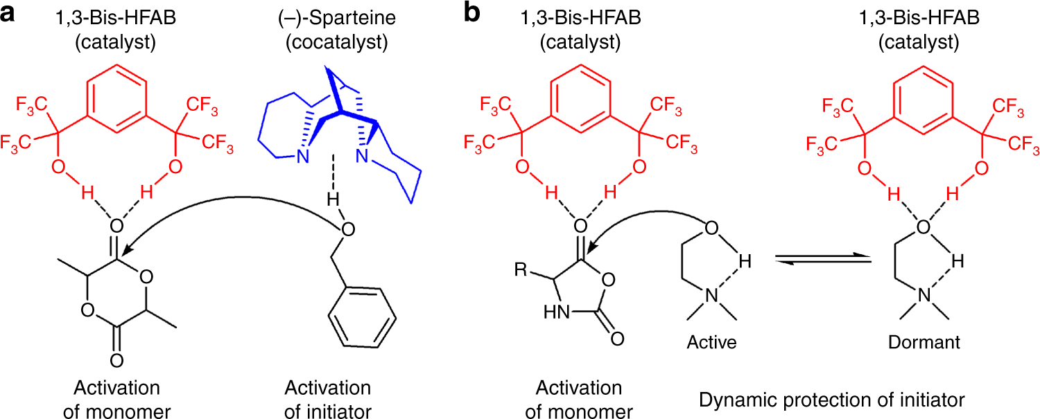 Fast And Selective Organocatalytic Ring Opening - 