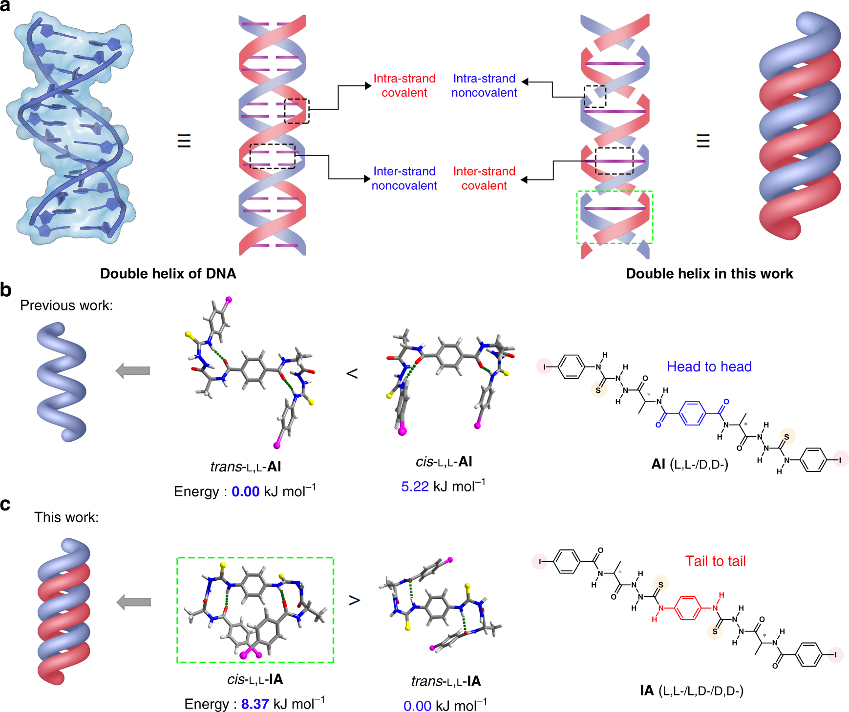 Single-handed supramolecular double helix of homochiral  bis(N-amidothiourea) supported by double crossed C−I···S halogen bonds |  Nature Communications