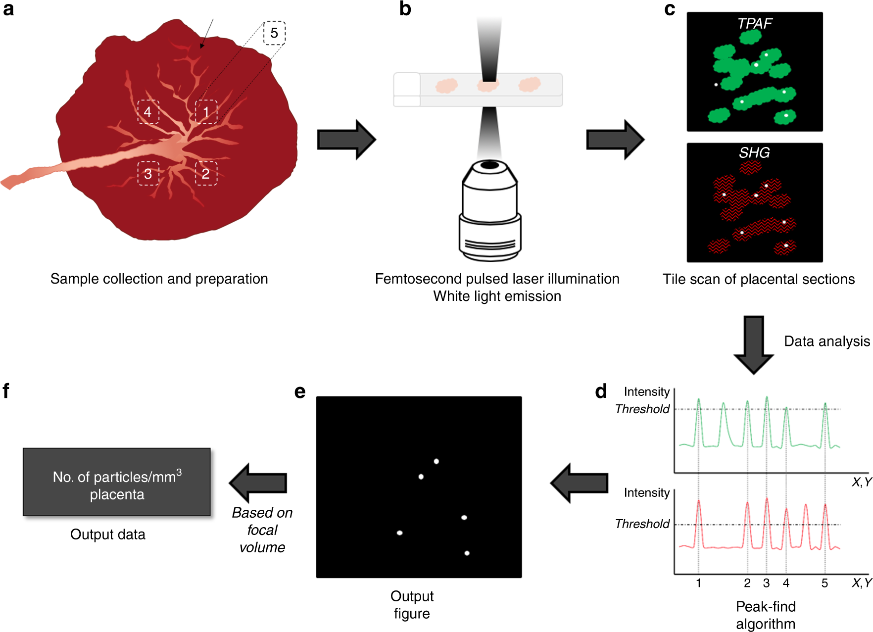 Ambient Black Carbon Particles Reach The Fetal Side Of Human