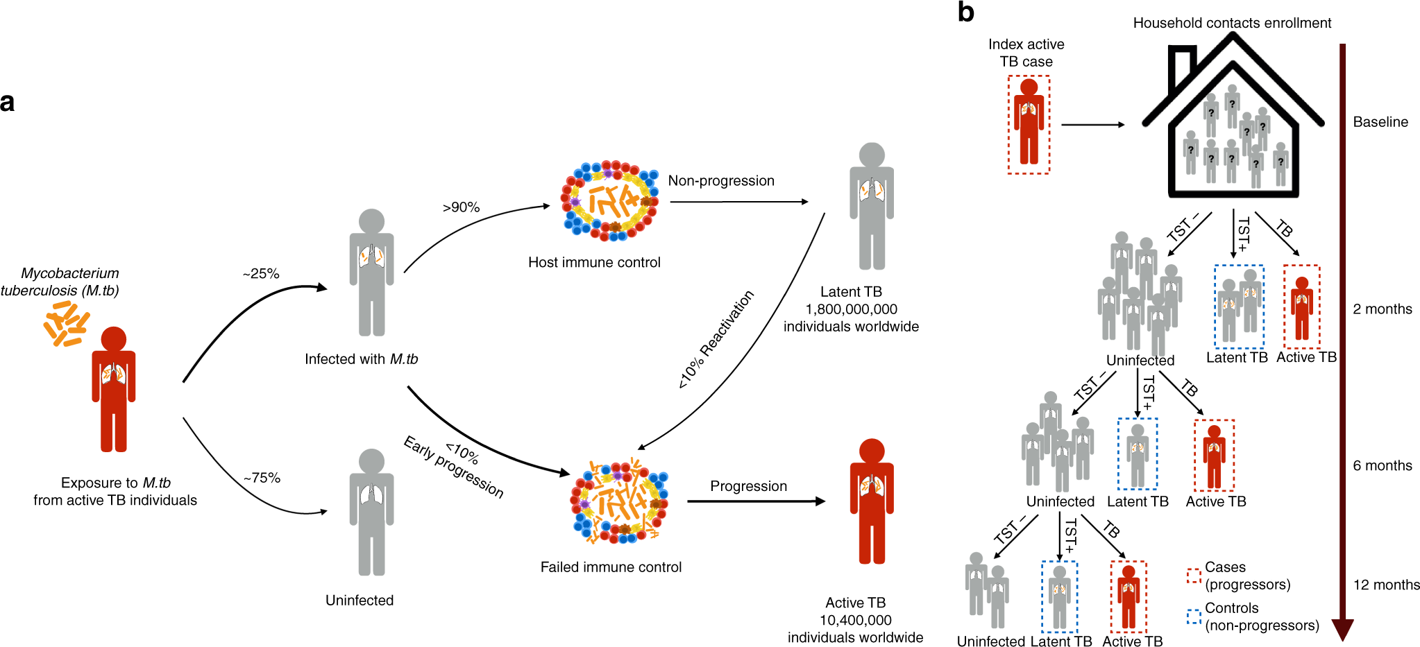 Early Progression To Active Tuberculosis Is A Highly Heritable