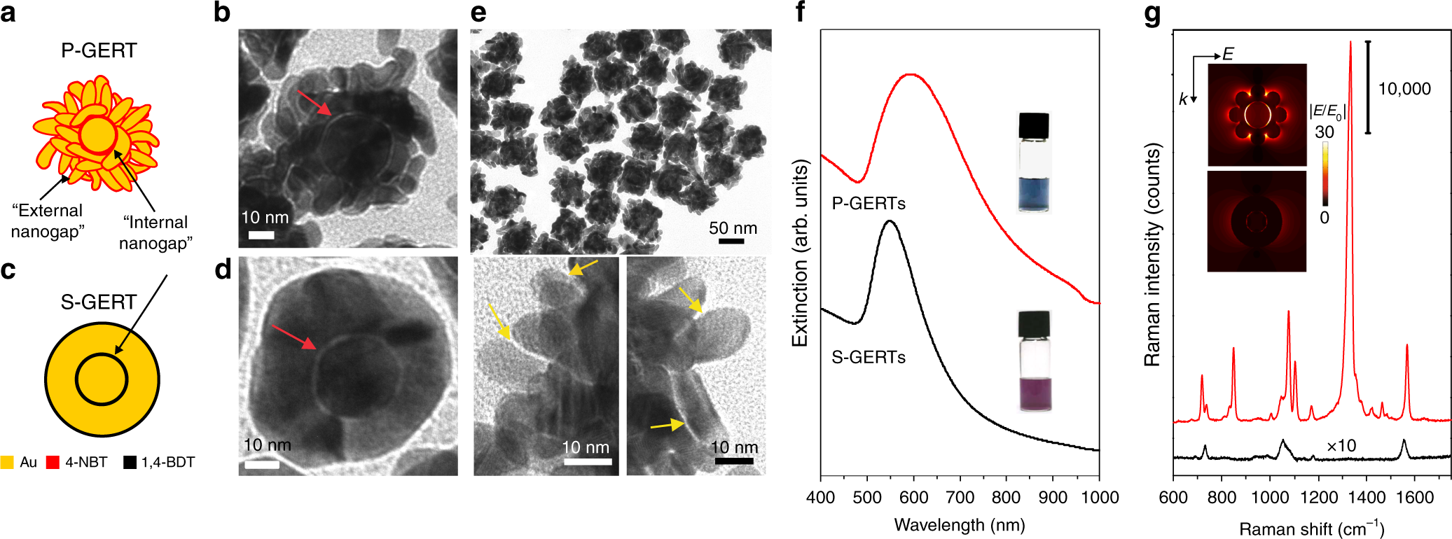 Ultrabright gap-enhanced Raman tags for photo