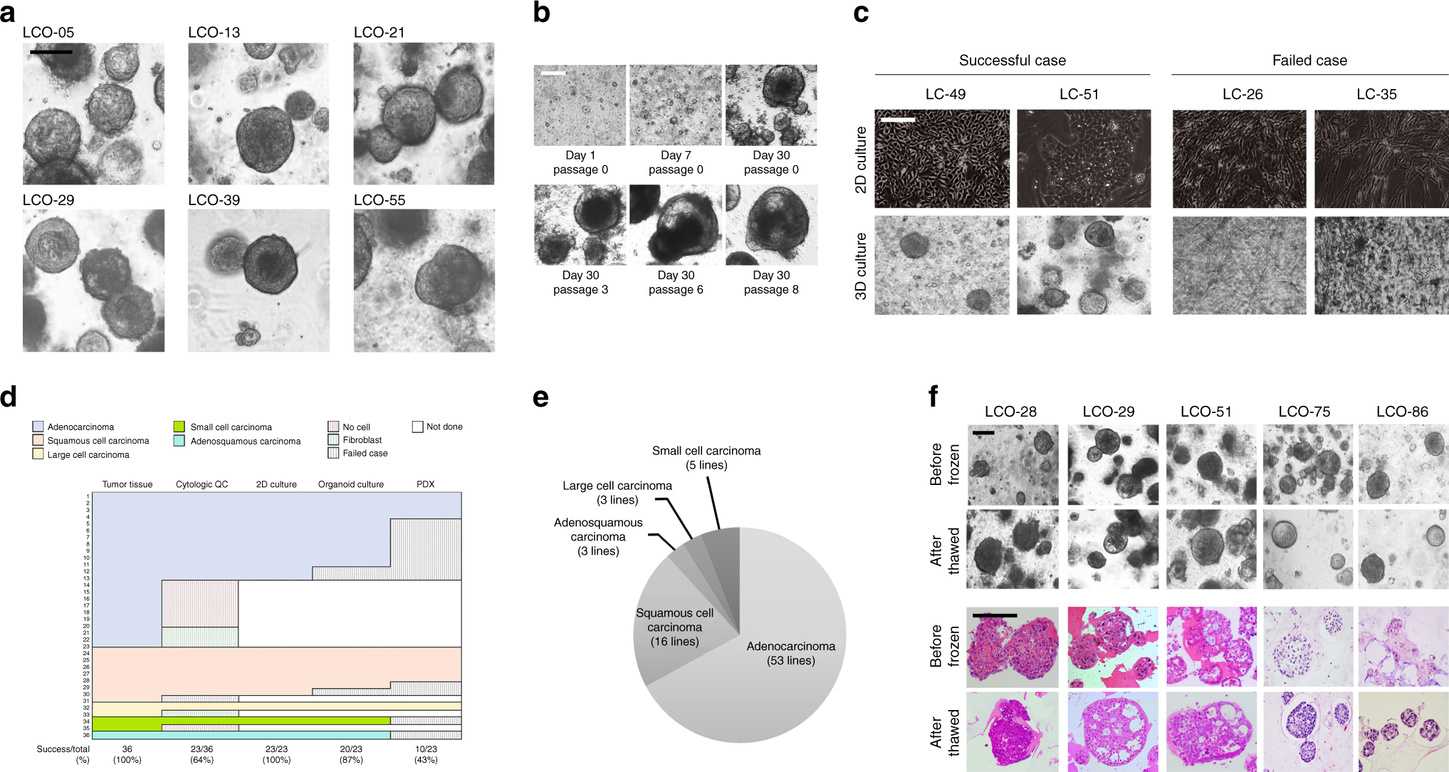 https://media.springernature.com/full/springer-static/image/art%3A10.1038%2Fs41467-019-11867-6/MediaObjects/41467_2019_11867_Fig1_HTML.png