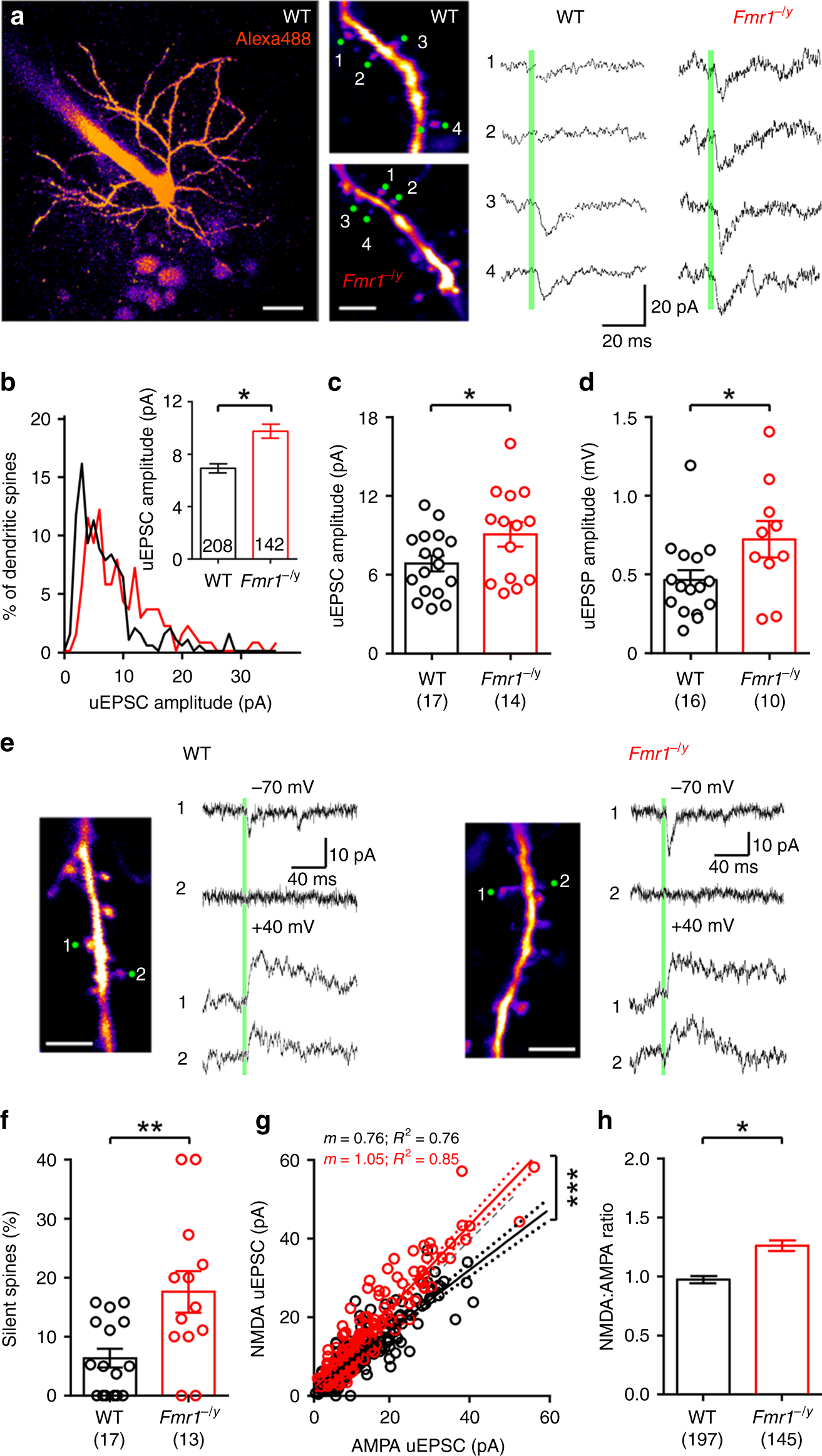 FMRP(1–297)-tat restores ion channel and synaptic function in a