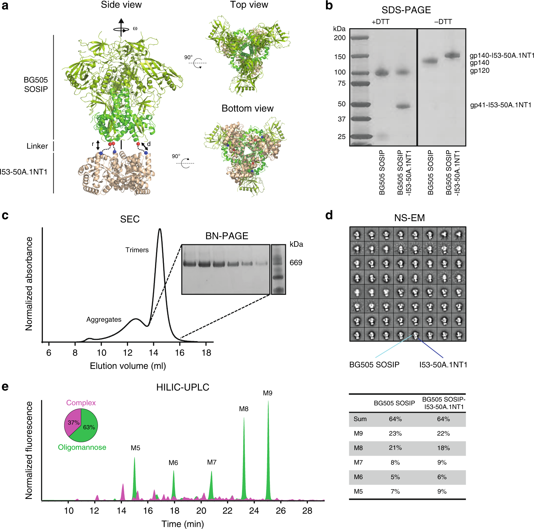 Surface-Functionalized Silica-Coated Calcium Phosphate Nanoparticles  Efficiently Deliver DNA-Based HIV-1 Trimeric Envelope Vaccines against  HIV-1