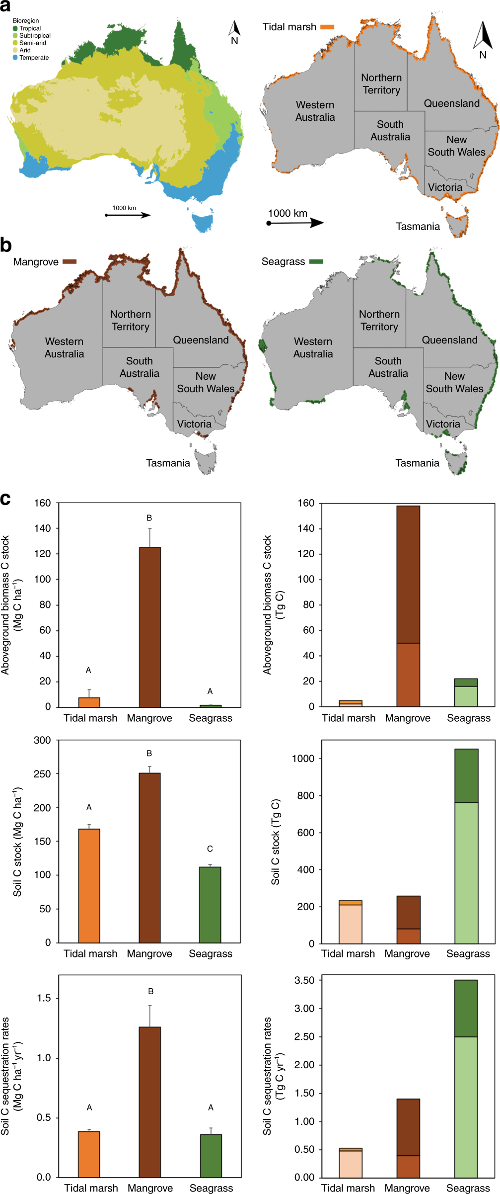 Australian vegetated coastal ecosystems as global hotspots for climate  change mitigation | Nature Communications