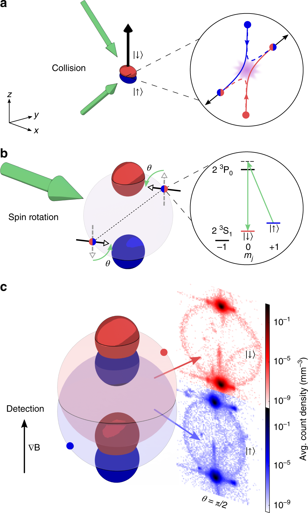 Bell correlations between spatially separated pairs of atoms | Nature  Communications