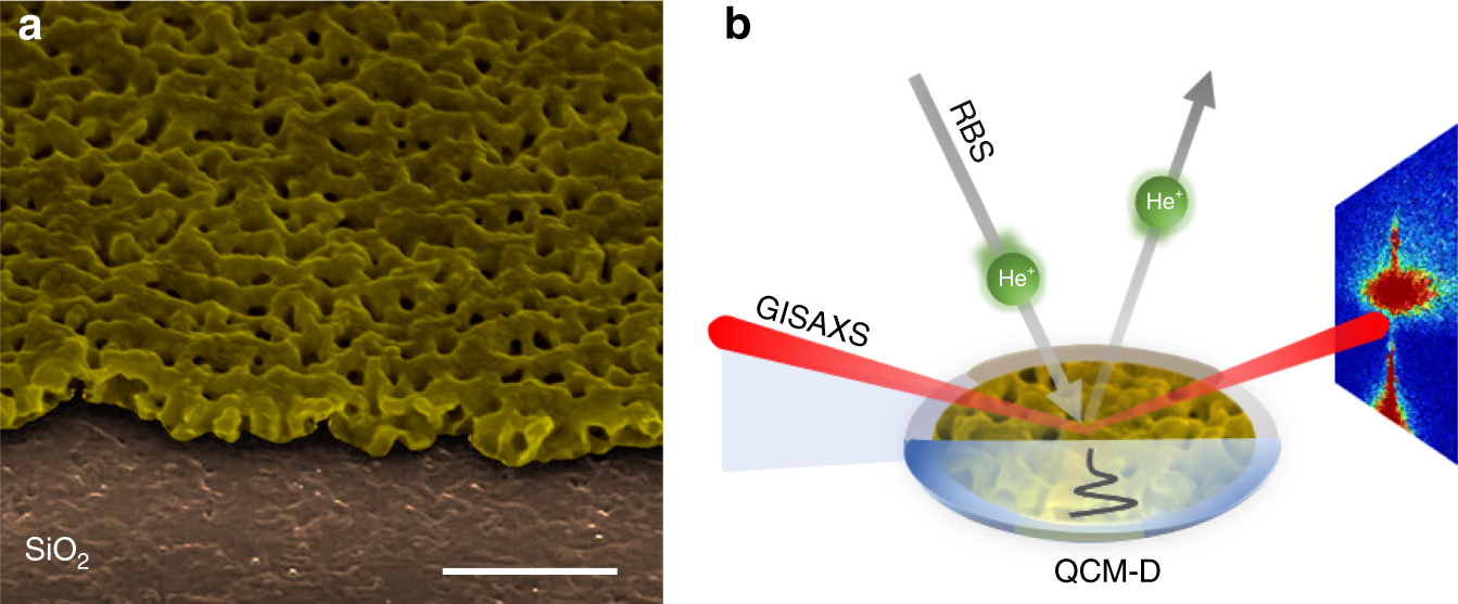 Quantification Of Porosity In Extensively Nanoporous Thin Films In Contact With Gases And Liquids Nature Communications