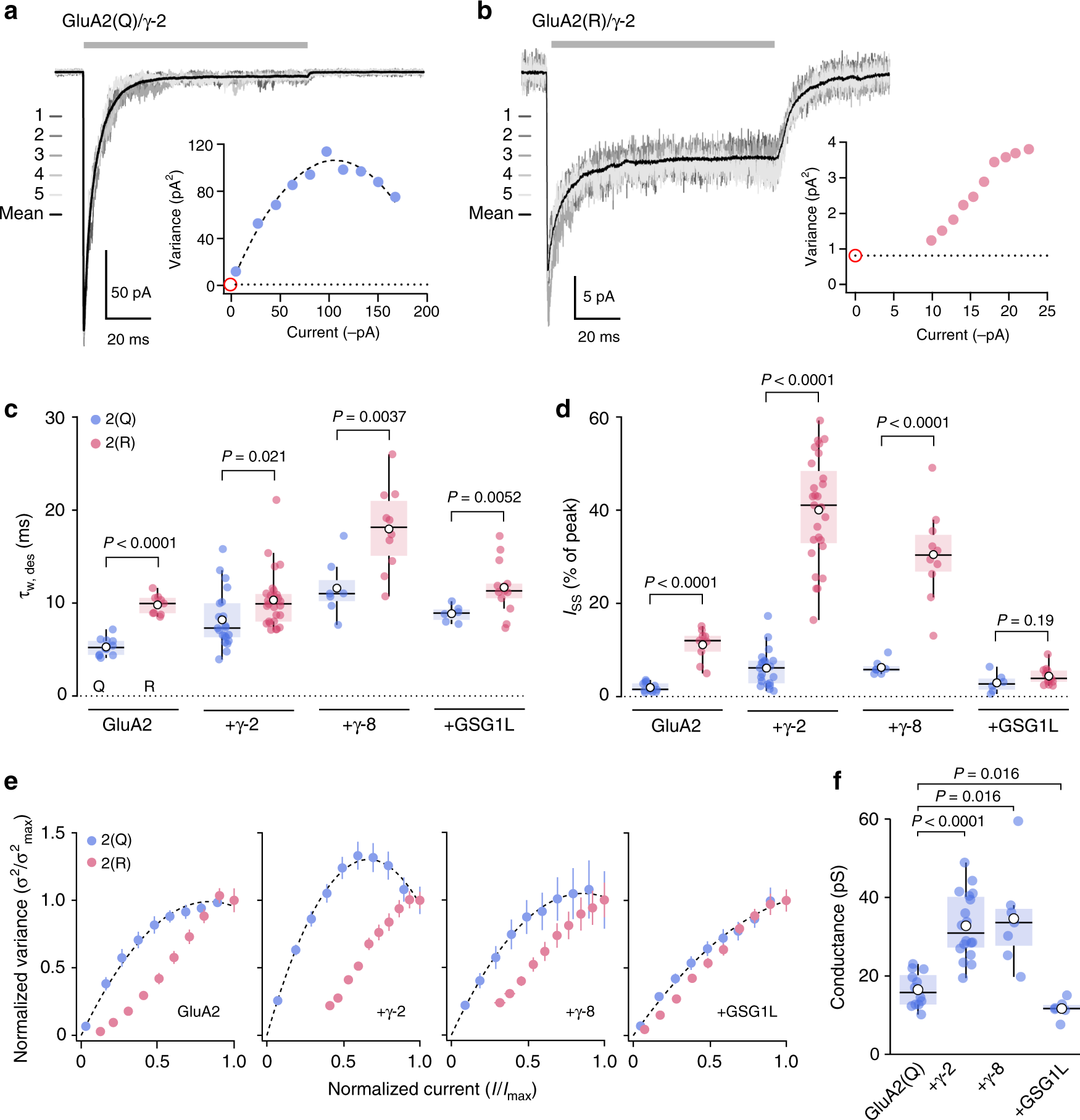 Homomeric Glua2 R Ampa Receptors Can Conduct When Desensitized