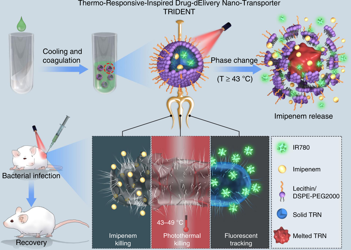 Thermo-responsive triple-function nanotransporter for efficient  chemo-photothermal therapy of multidrug-resistant bacterial infection |  Nature Communications