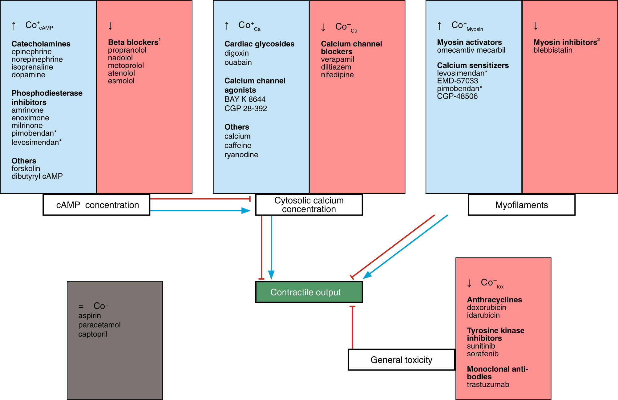 Simultaneous Measurement Of Excitation Contraction Coupling