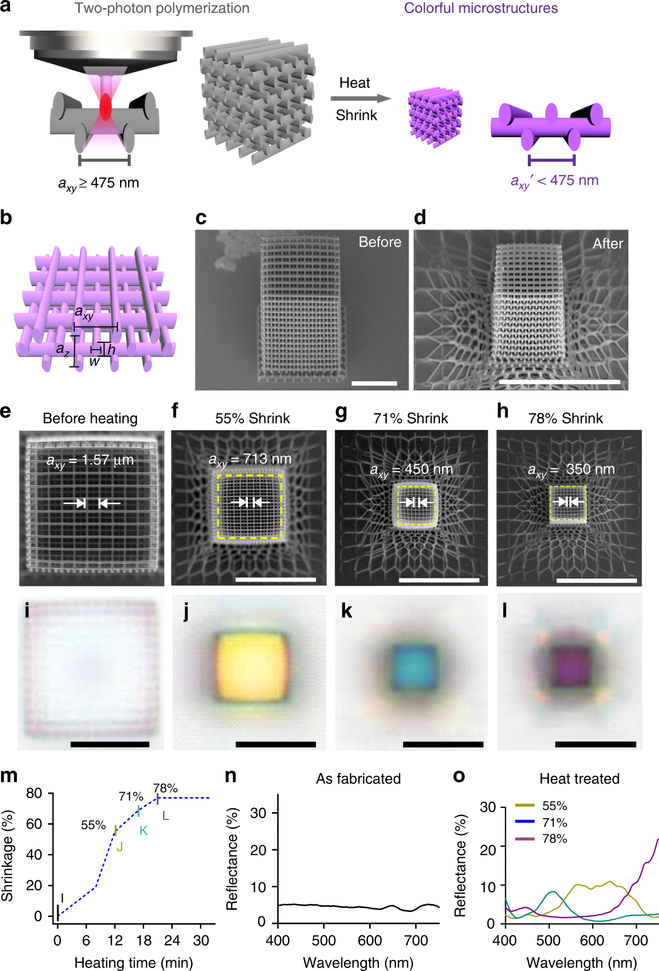 Structural color three-dimensional printing by shrinking photonic crystals  | Nature Communications