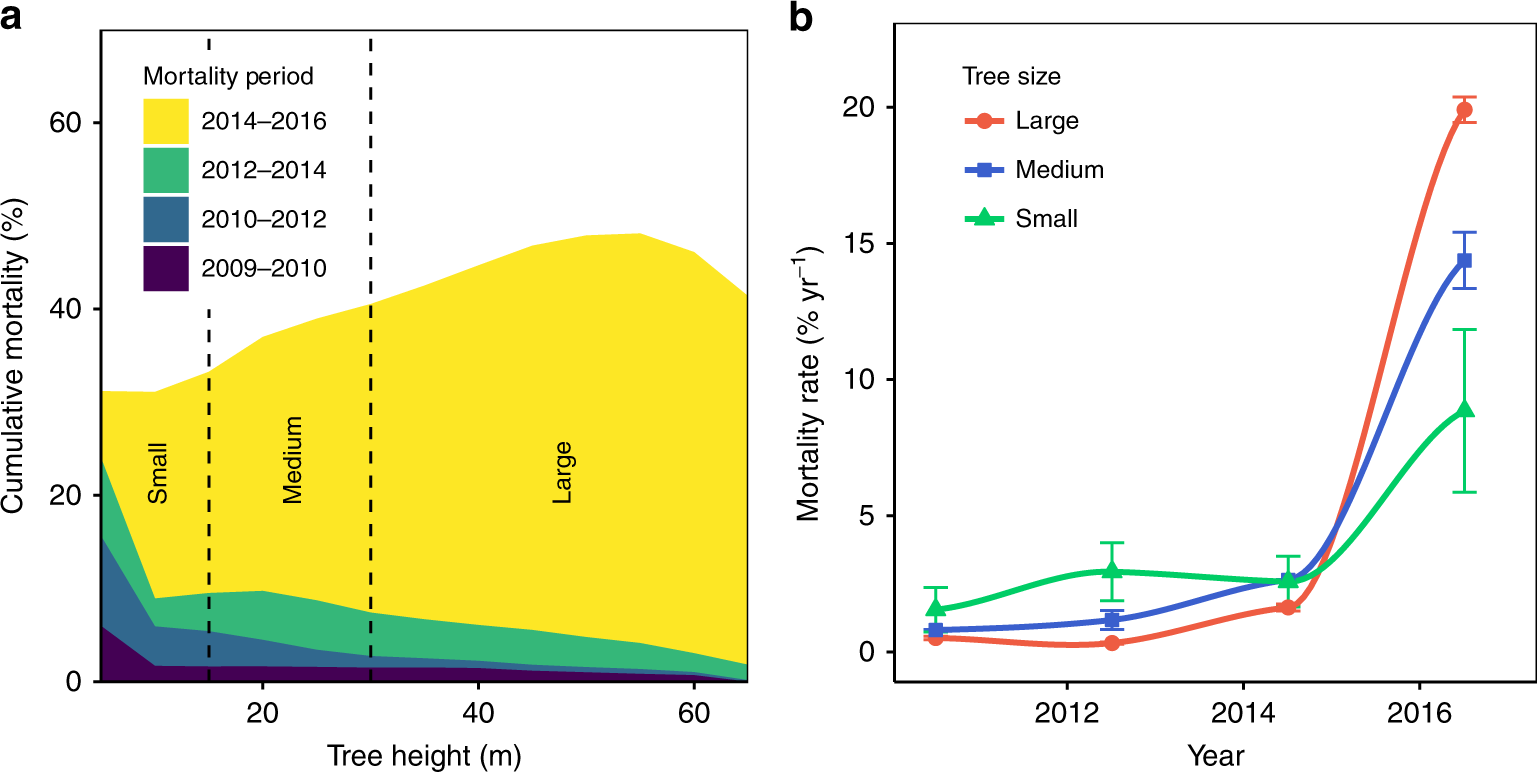 Tree Height Explains Mortality Risk During An Intense Drought Nature Communications