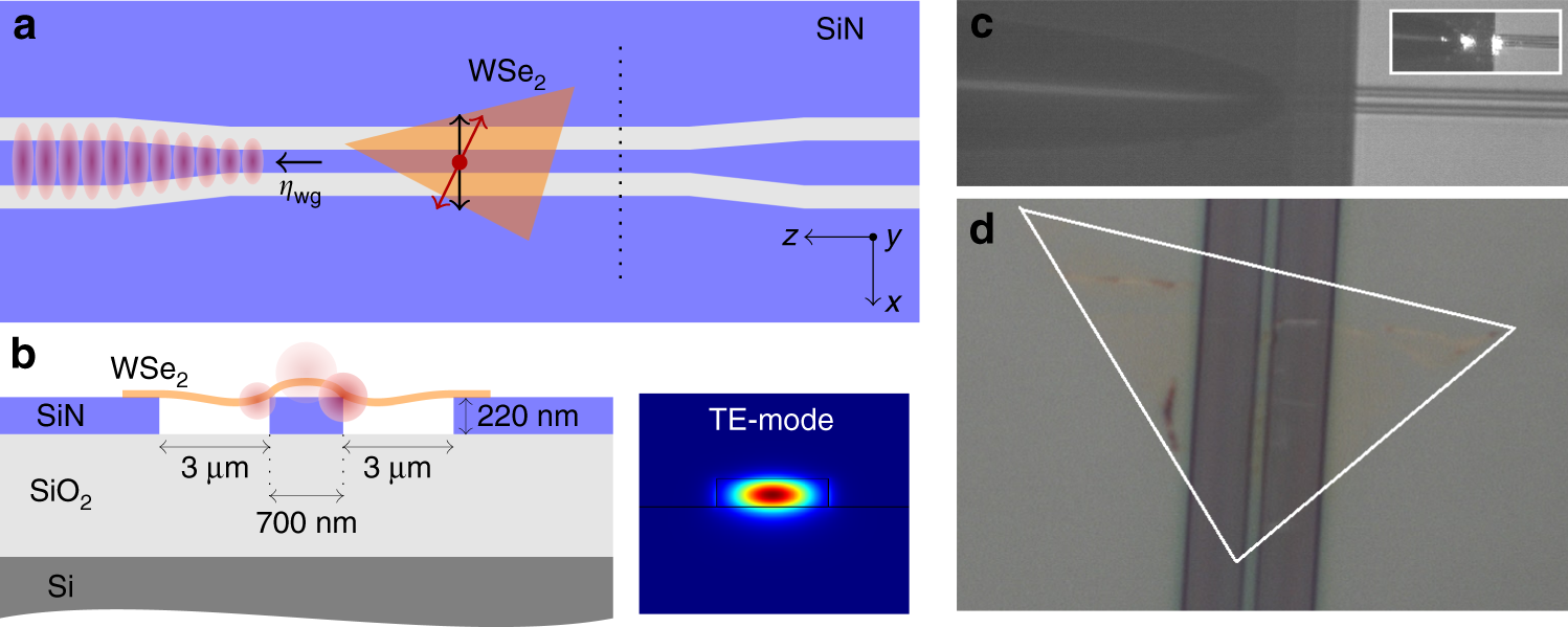 Integration of single photon emitters in 2D layered materials with a silicon  nitride photonic chip | Nature Communications