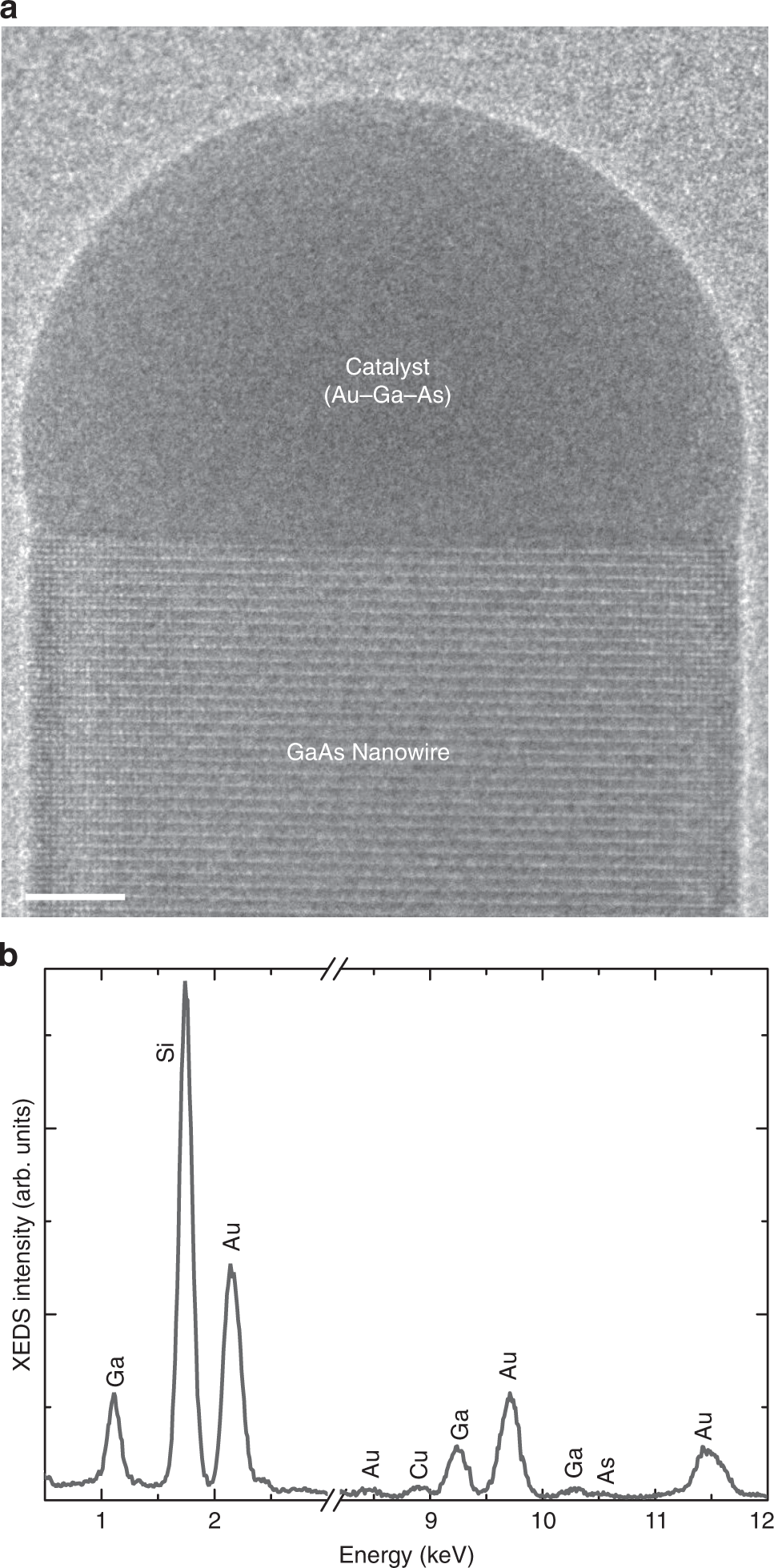 In Situ Analysis Of Catalyst Composition During Gold Catalyzed