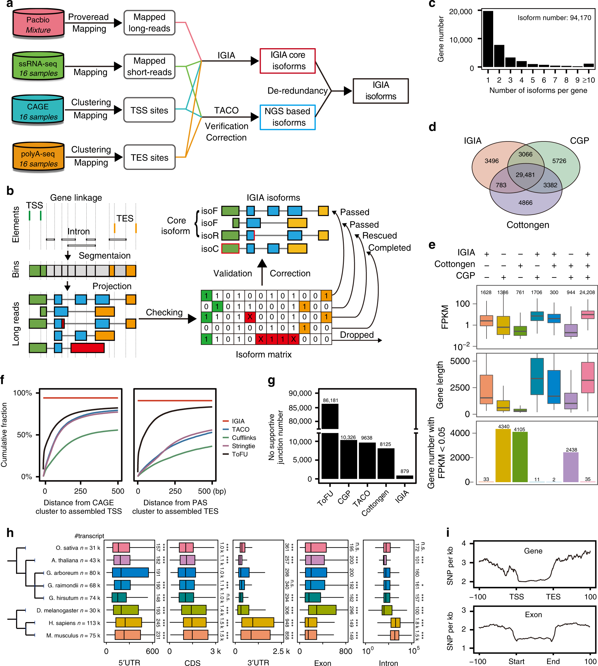 Tips and tricks for performing RNA-seq analyses in IPA - tv