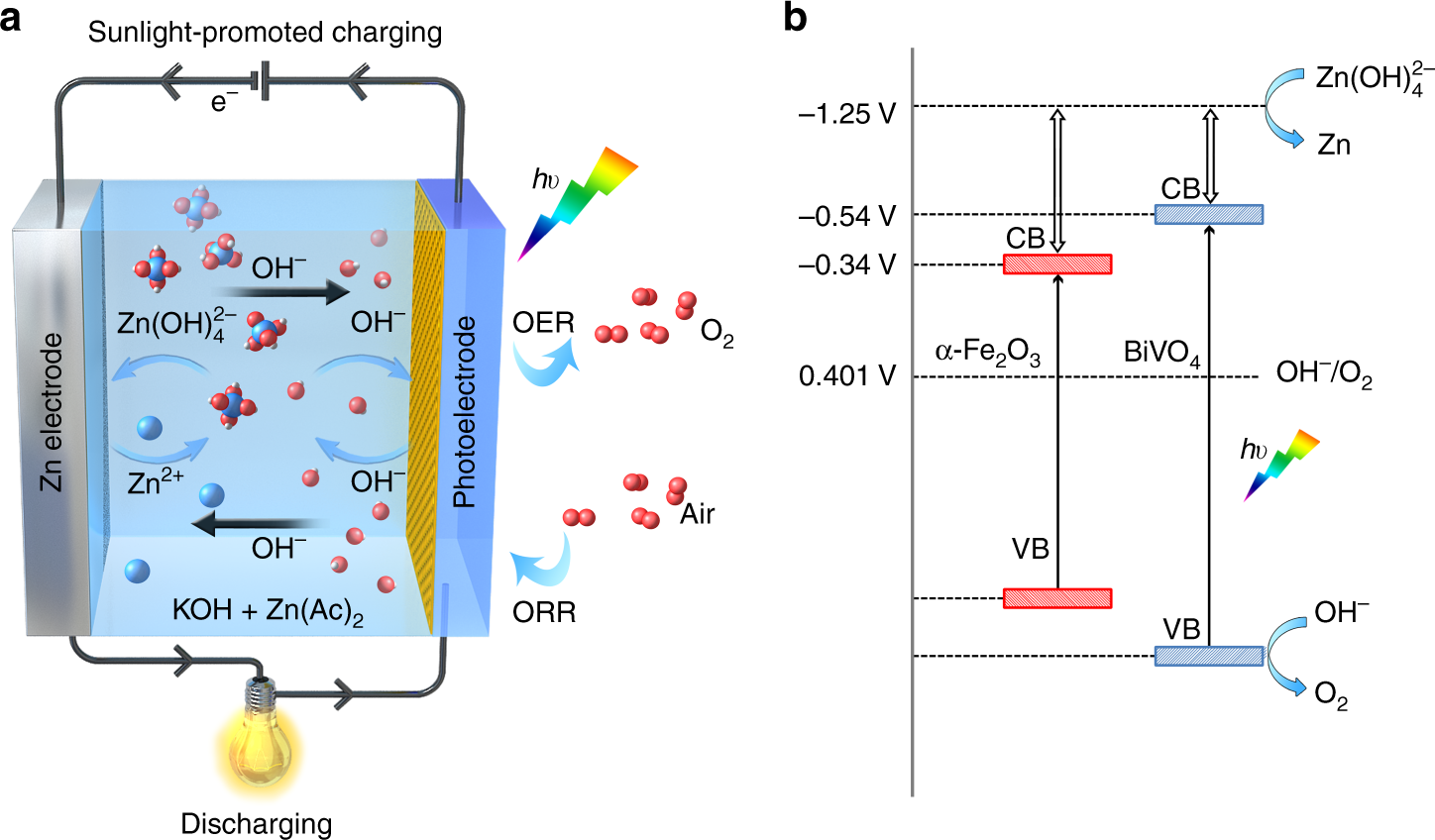 Utilizing solar energy to improve the oxygen evolution reaction kinetics in  zinc–air battery | Nature Communications