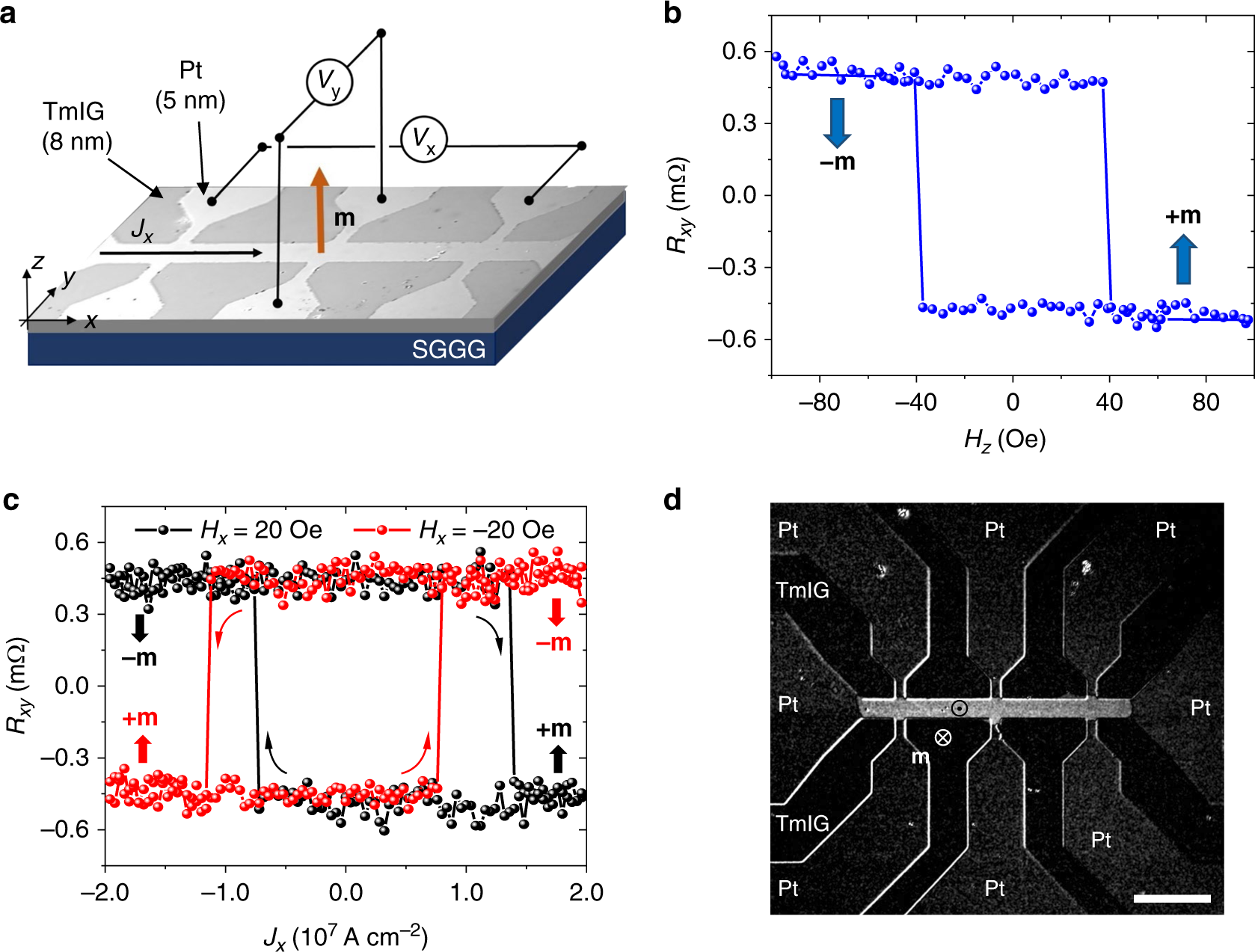 High Speed Domain Wall Racetracks In A Magnetic Insulator Nature Communications High Speed Domain Wall Racetracks In A Magnetic Insulator Nature Communications