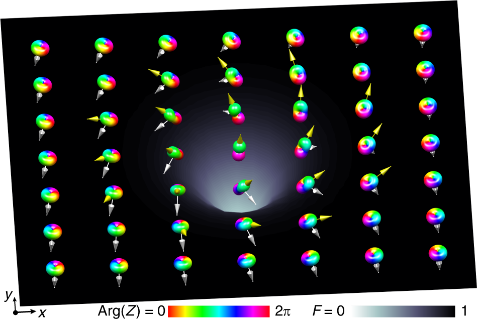 Controlled Creation Of A Singular Spinor Vortex By Circumventing The Dirac Belt Trick Nature Communications
