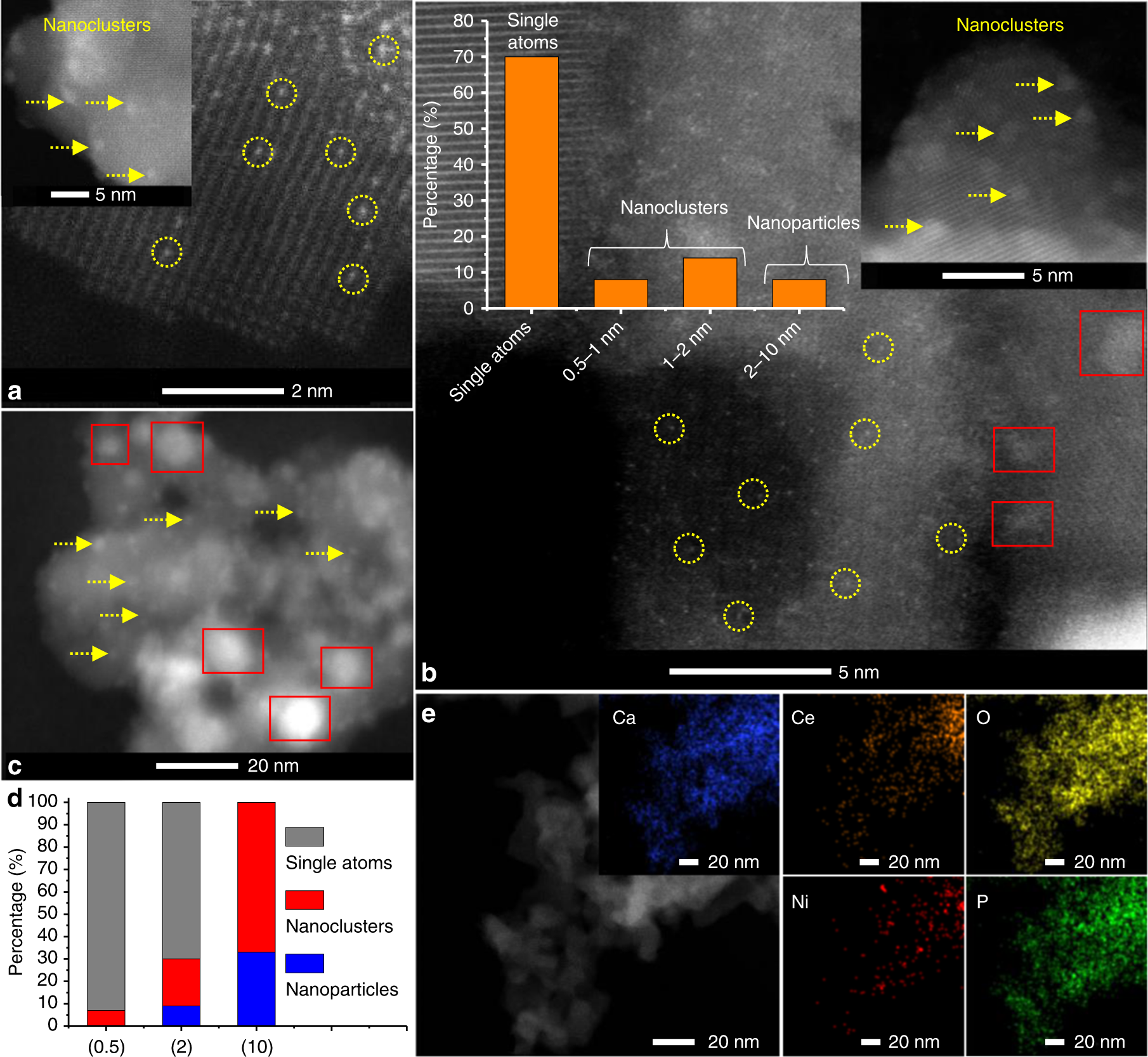 Atomically Dispersed Nickel As Coke Resistant Active Sites
