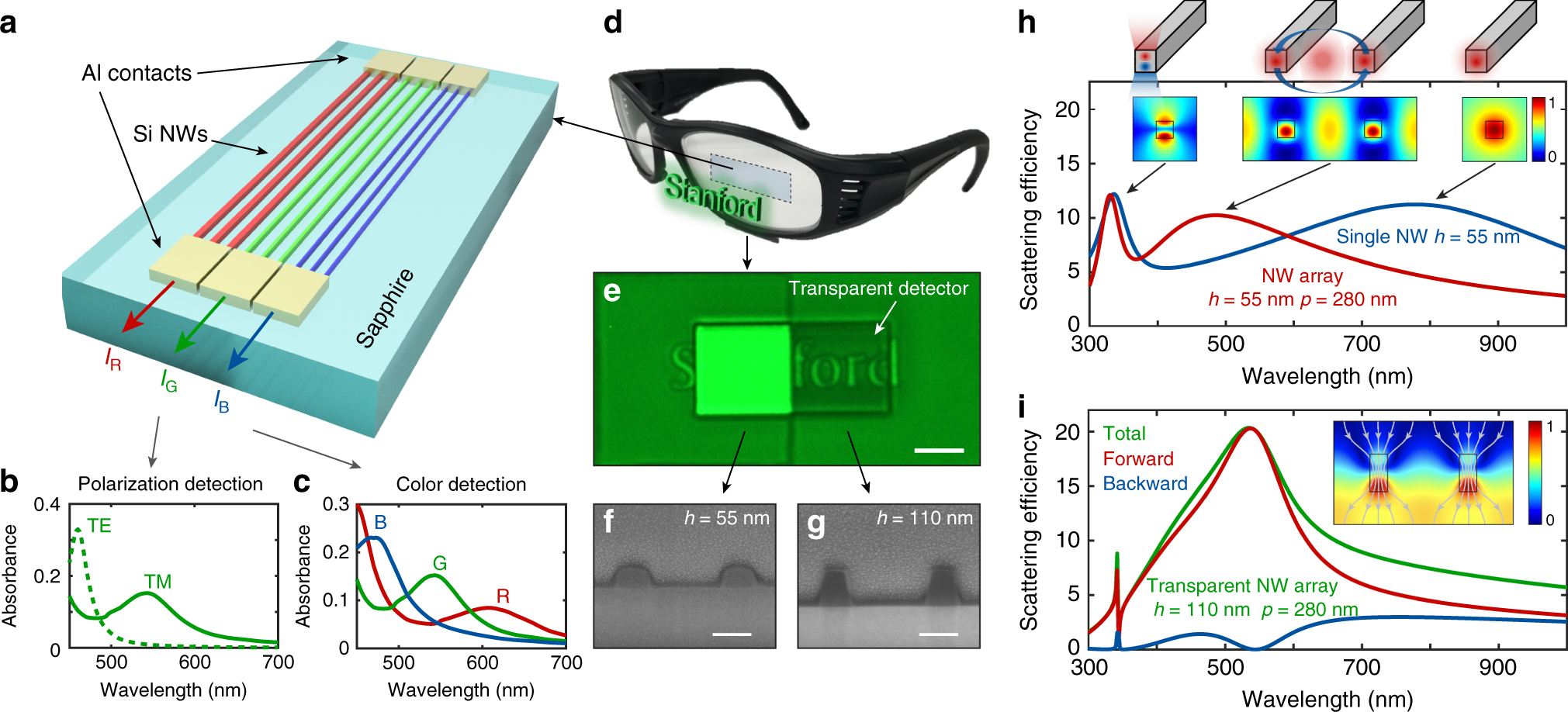 Transparent multispectral photodetectors mimicking the human visual system